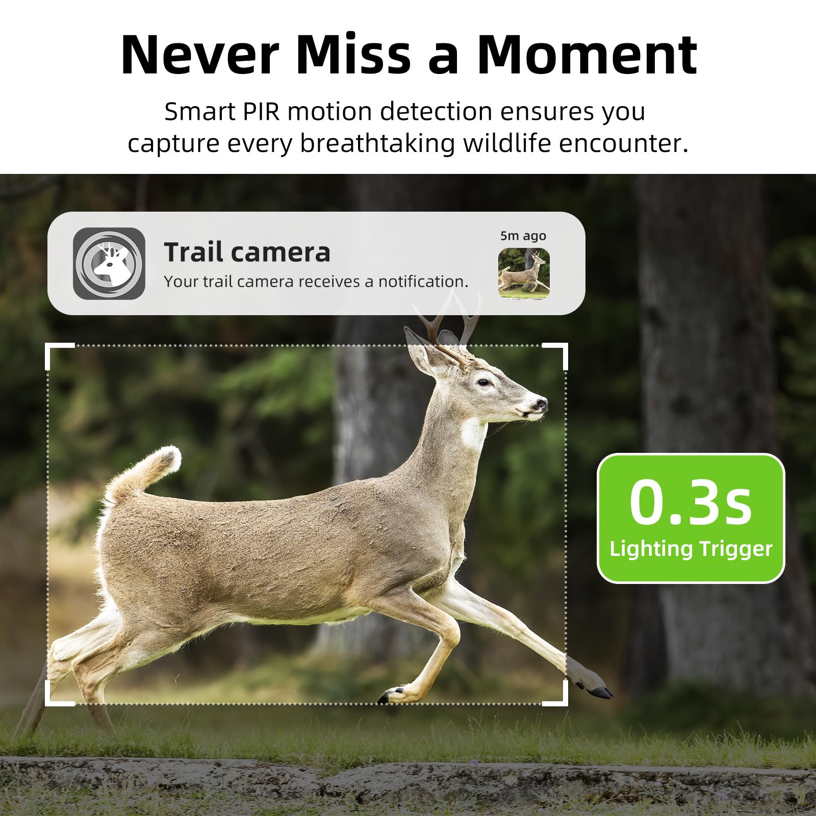 Korons Caméra de Chasse(64GB)
