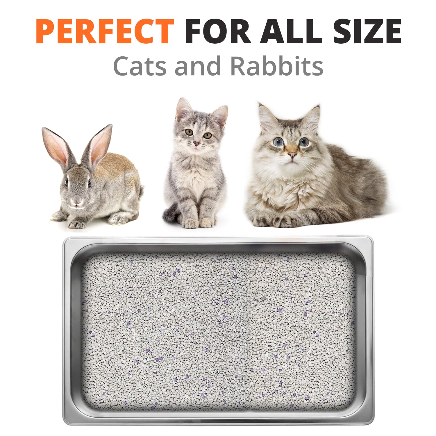 Stainless Aluminum Cat Litter Box, Great Litter Box, High Sides, Does