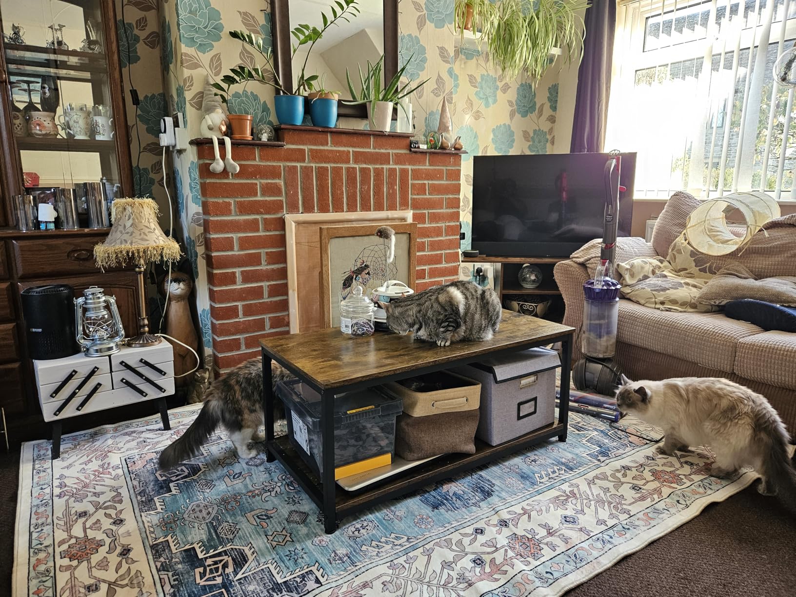Customer photo