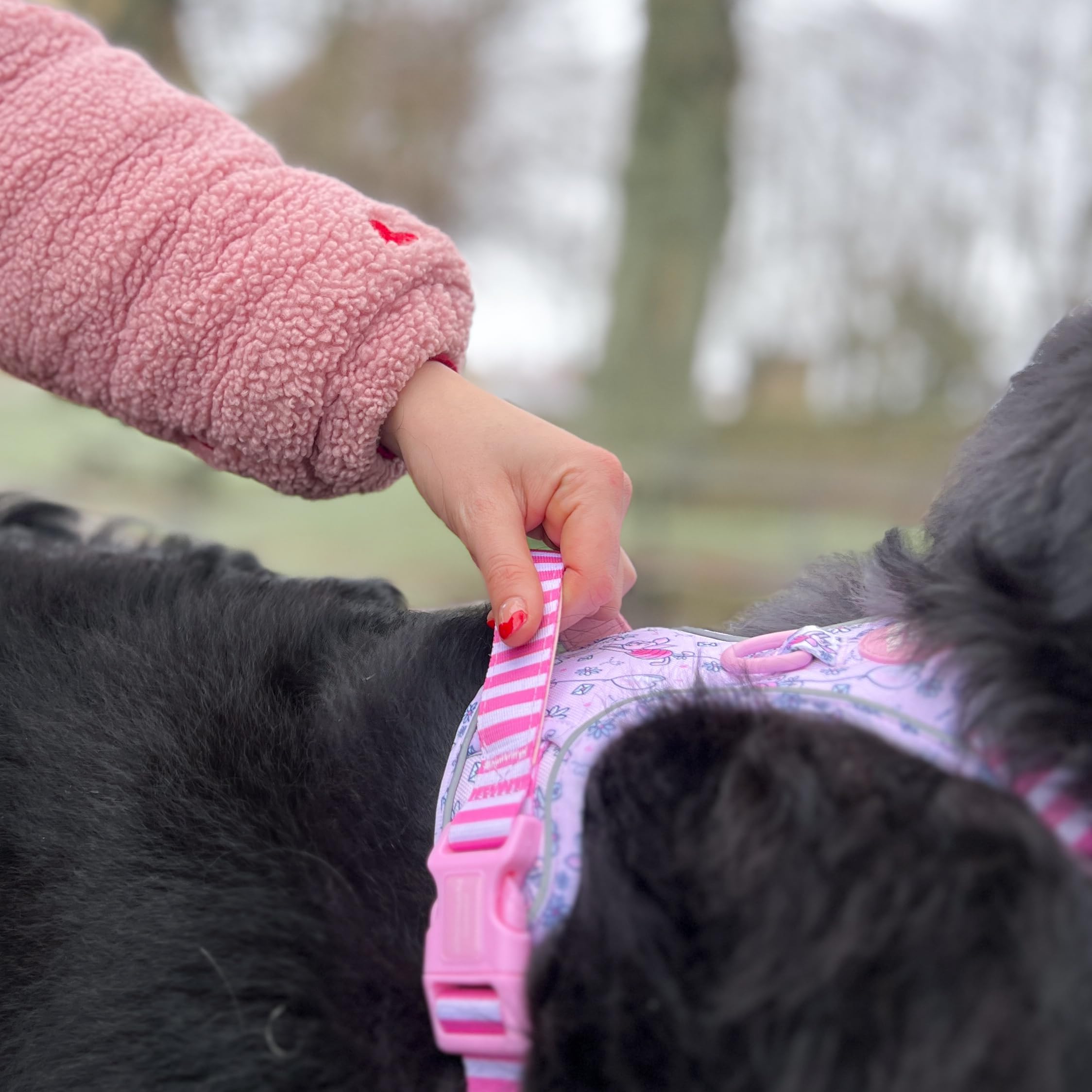 Pawsome Paws Boutique Ferkel Hundegeschirr, robust, verstellbar, Disney-Design, kein Ziehen, mit reflektierendem Rand und Stabiler Schnalle