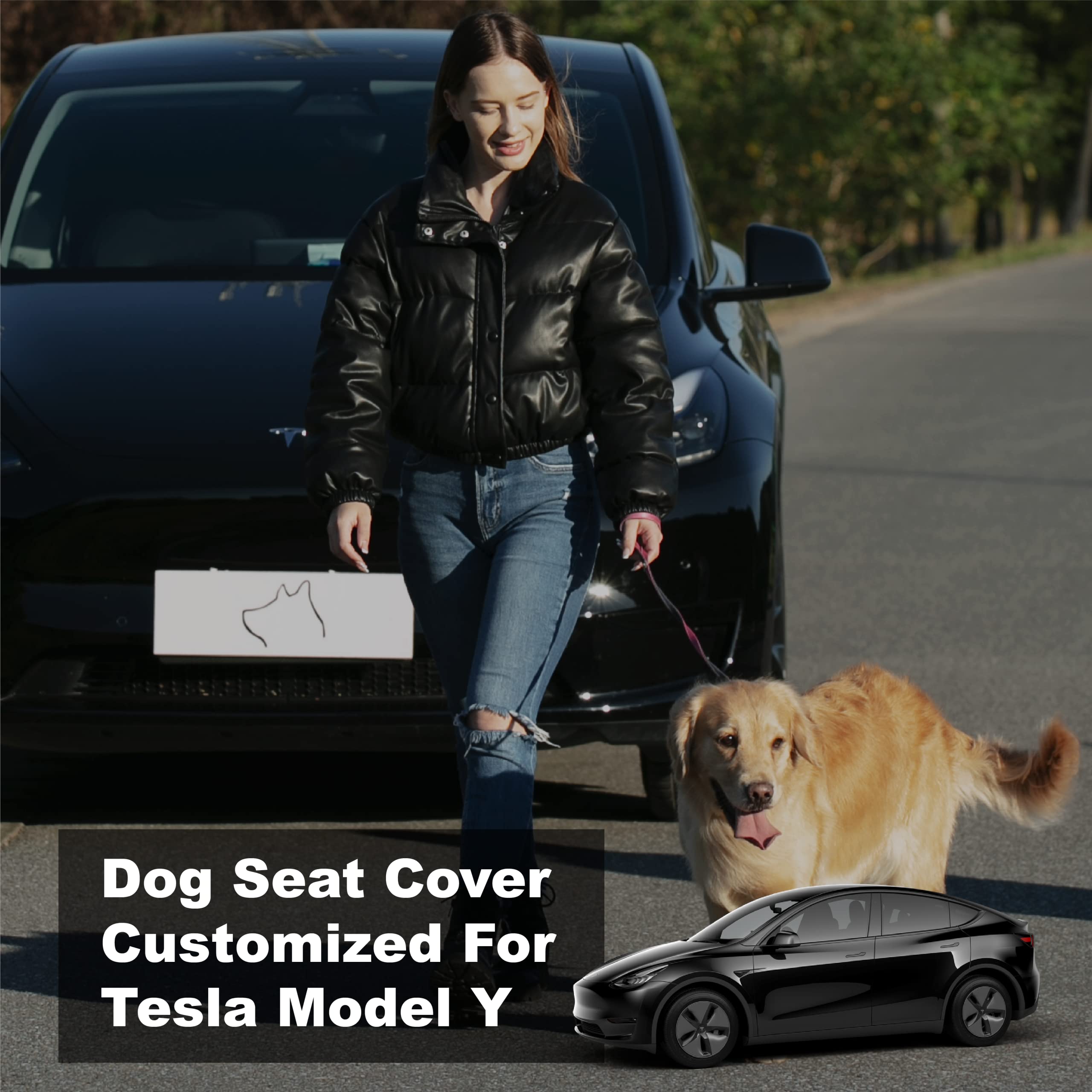 Best Dog Seat Cover For Tesla Model Y sites.unimi.it