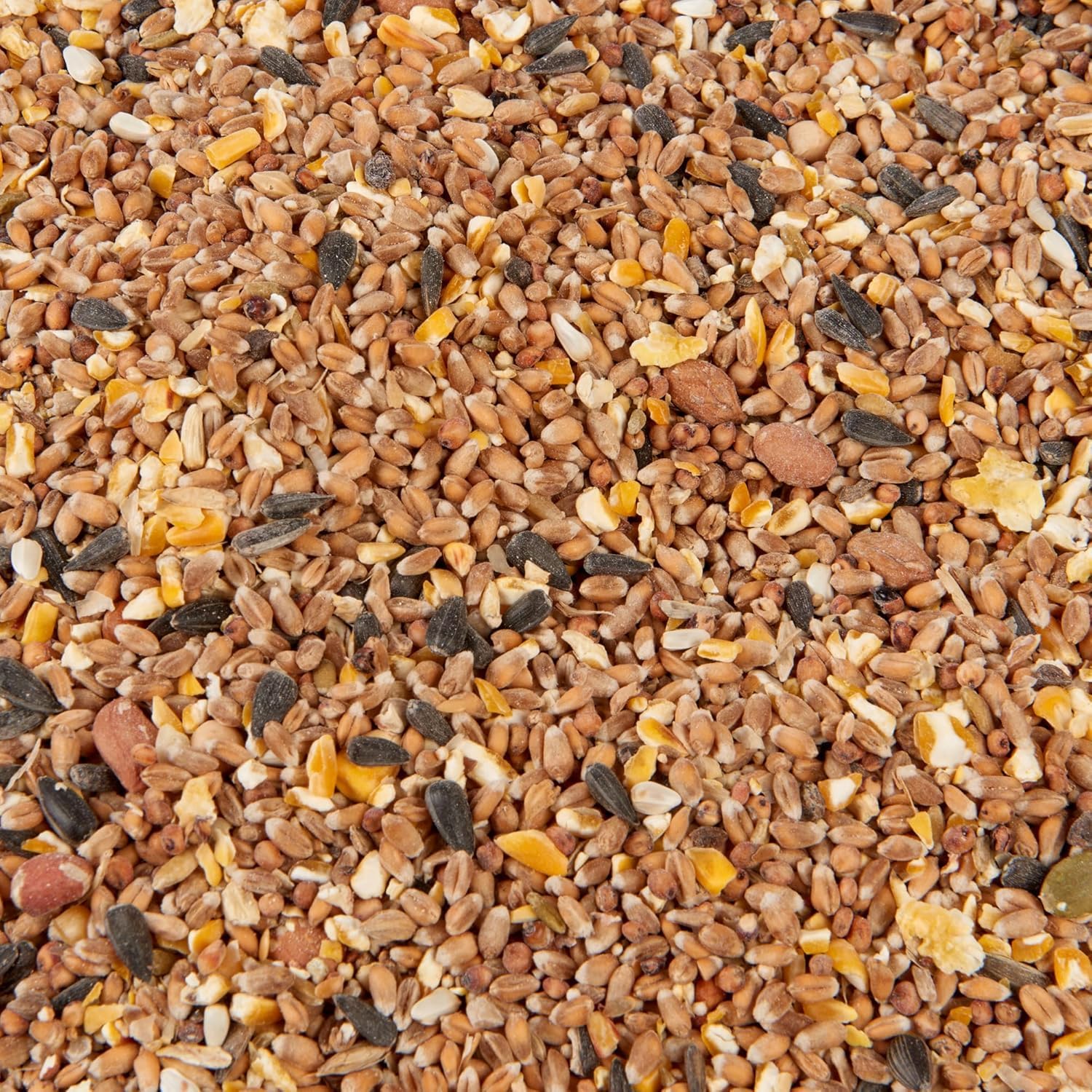 Premium Wild Bird Seed Food 5L Refill, (5L Bag, Wild Bird Mix) — view 2
