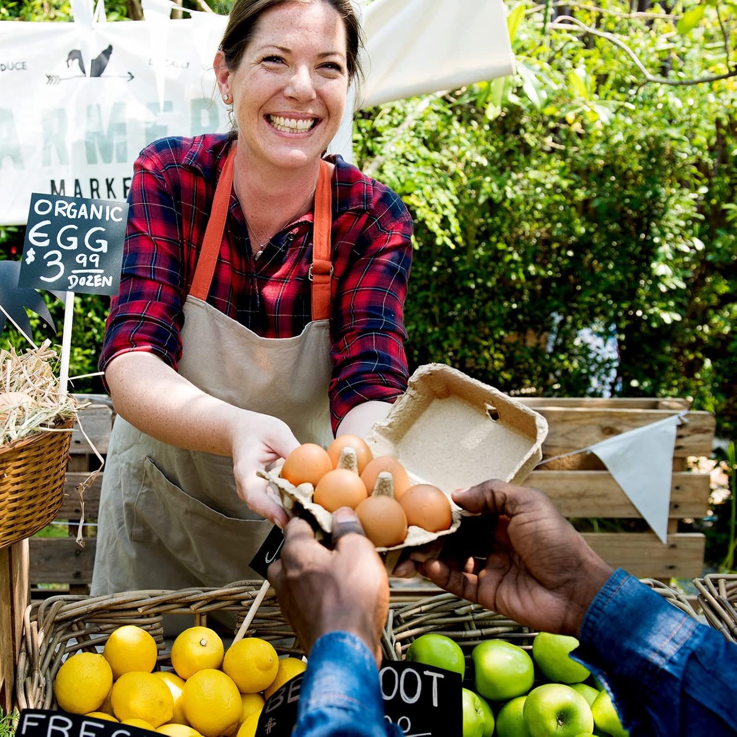 Sieral 100 Pcs Paper Egg Cartons Bulk for Chicken Eggs Blank Pulp Fiber Egg Tray Holder Reusable Empty Storage Containers for Farm Market Kitchen Camping Picnic DIY(6 Count)