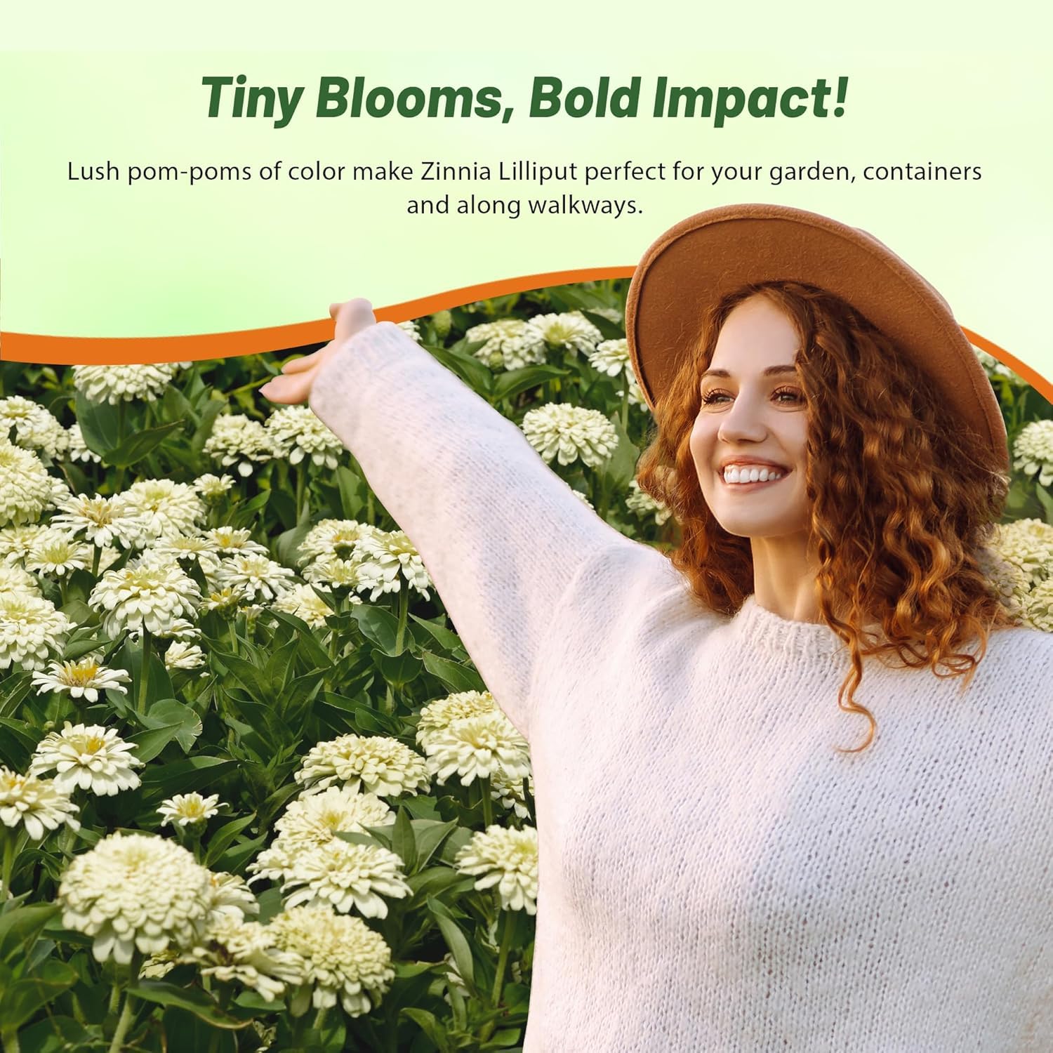 Amazon.com : Outsidepride White White Zinnia Seeds - 1000 Pcs