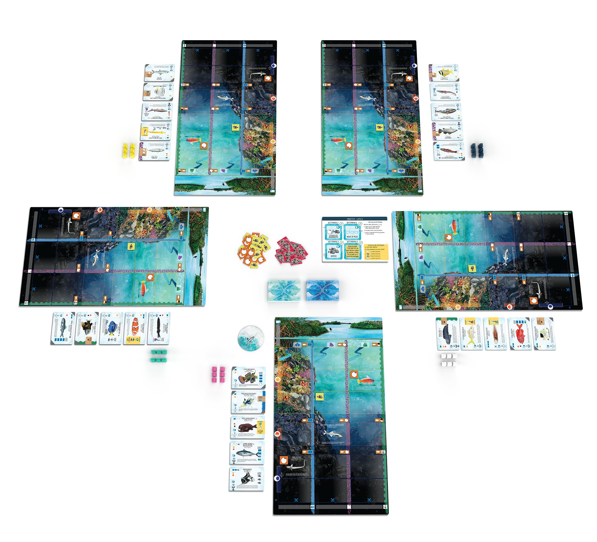 Finspan, Gioco da tavolo, Edizione in italiano, 10+ anni, 1-5 giocatori, 45-60 minuti