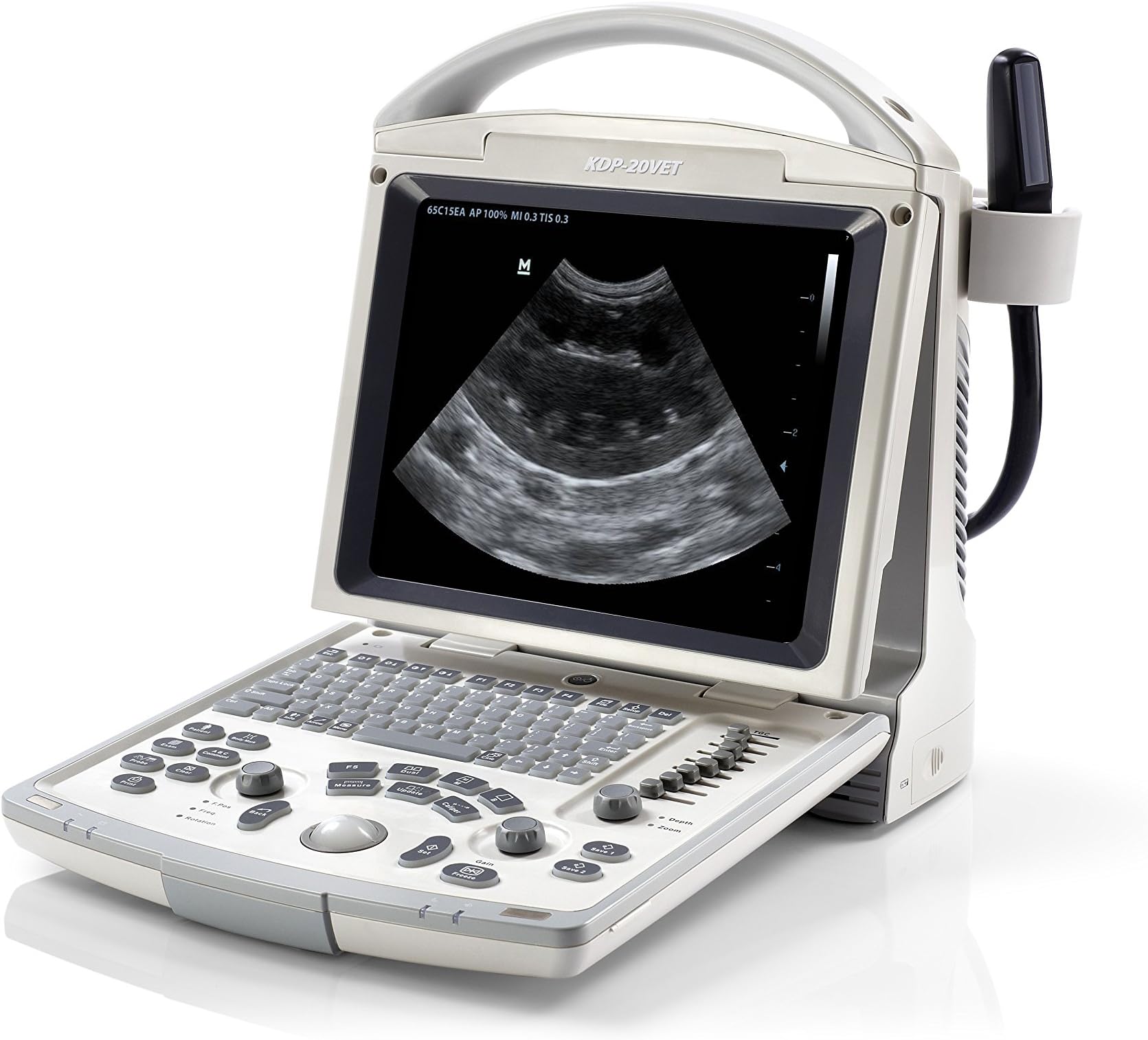 Veterinary Small Animal Ultrasound with Micro Convex Probe