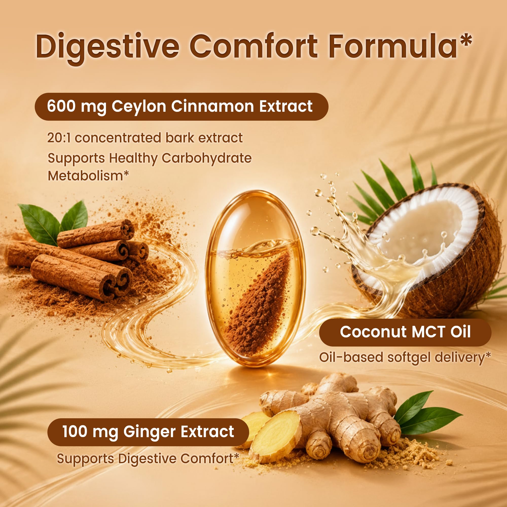 VEV Ceylon Cinnamon with MCT Oil & Ginger, 20:1 Extract, 300 Mini Softgels — Amazon image 4