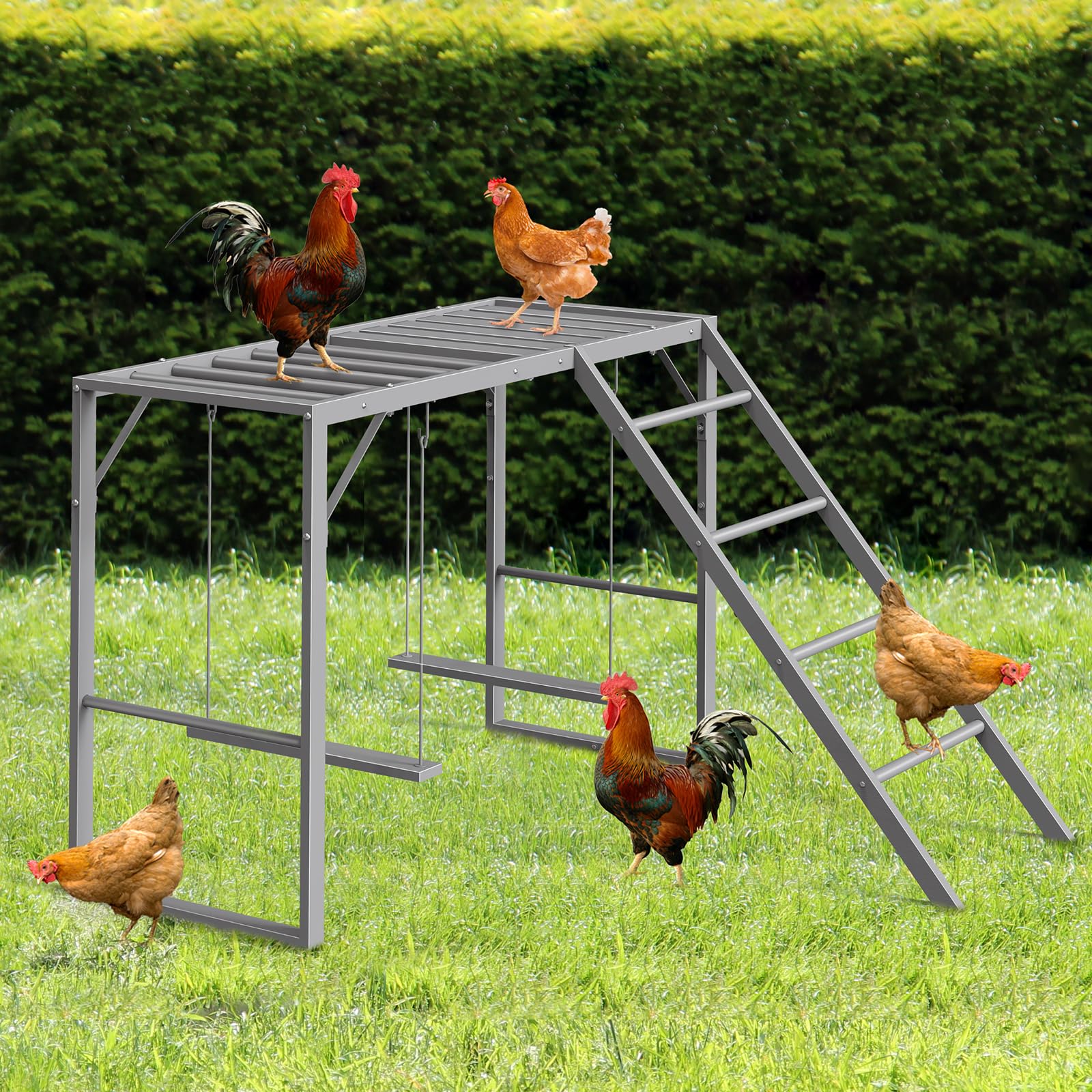 CADUKE Percha de pollo con juegos de columpios para 5-8 pájaros, juguetes de pollo, barras de pollo para accesorios de gallinero, escalera de pollo para la salud y la felicidad de las mascotas, gris