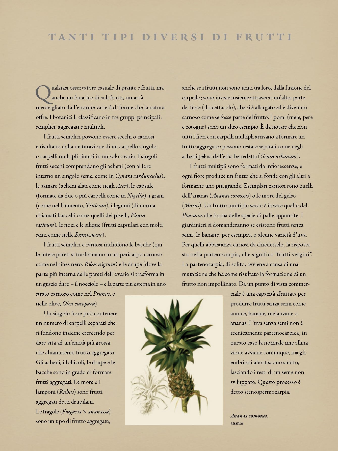 Botanica per giardinieri. L'arte e la scienza del giardinaggio spiegate e raccontate