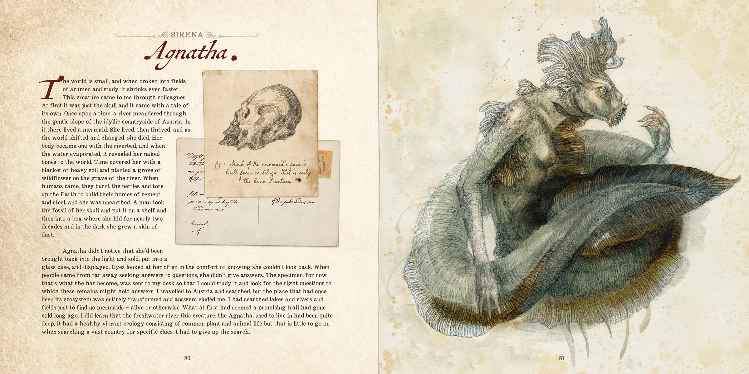 Dr. C. Lillefisk's Sirenology: A Guide to Mermaids and Other Under-The-Sea Phenonemon