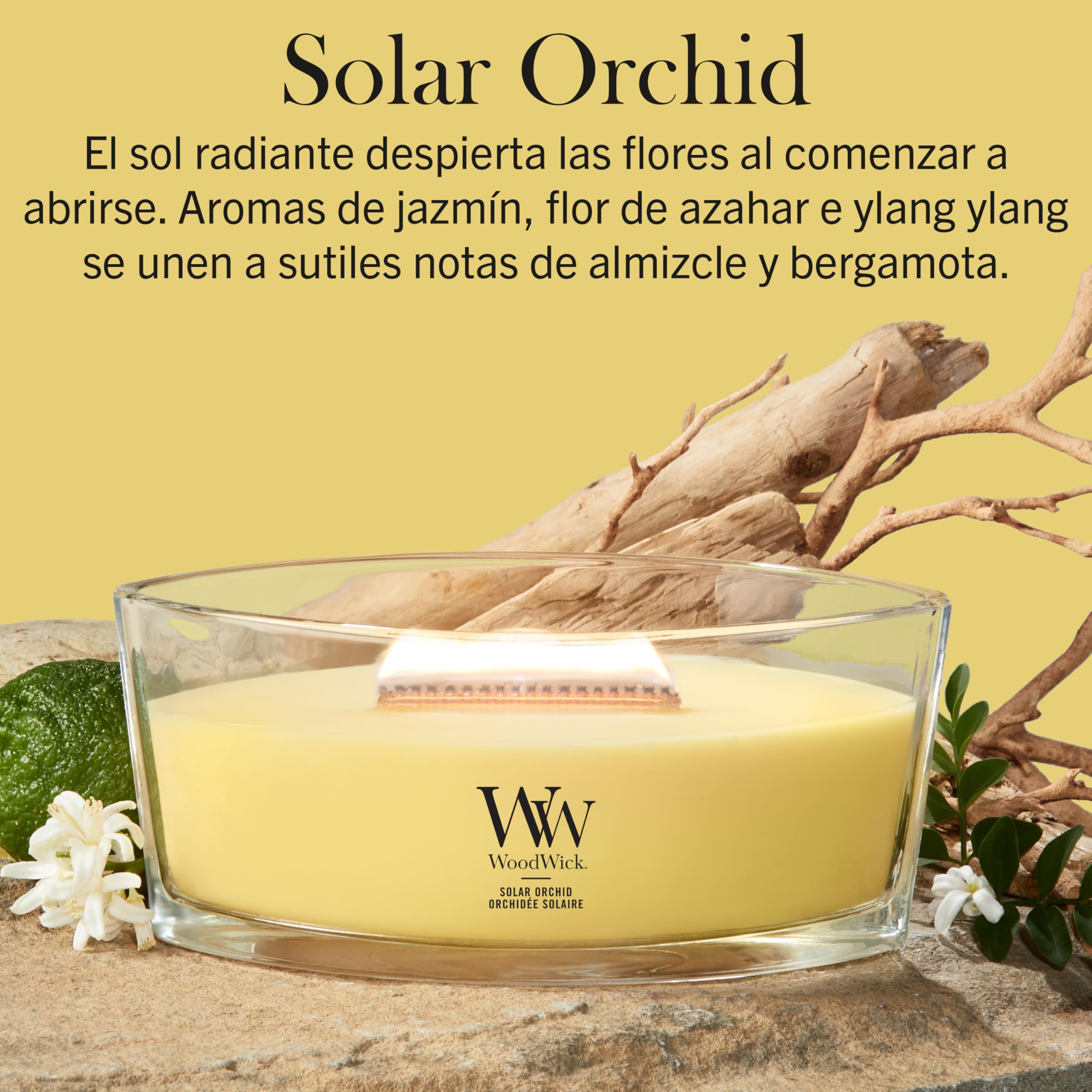 WoodWick | Vela Elíptica | Orquídea Solar | Gran regalo para mujeres