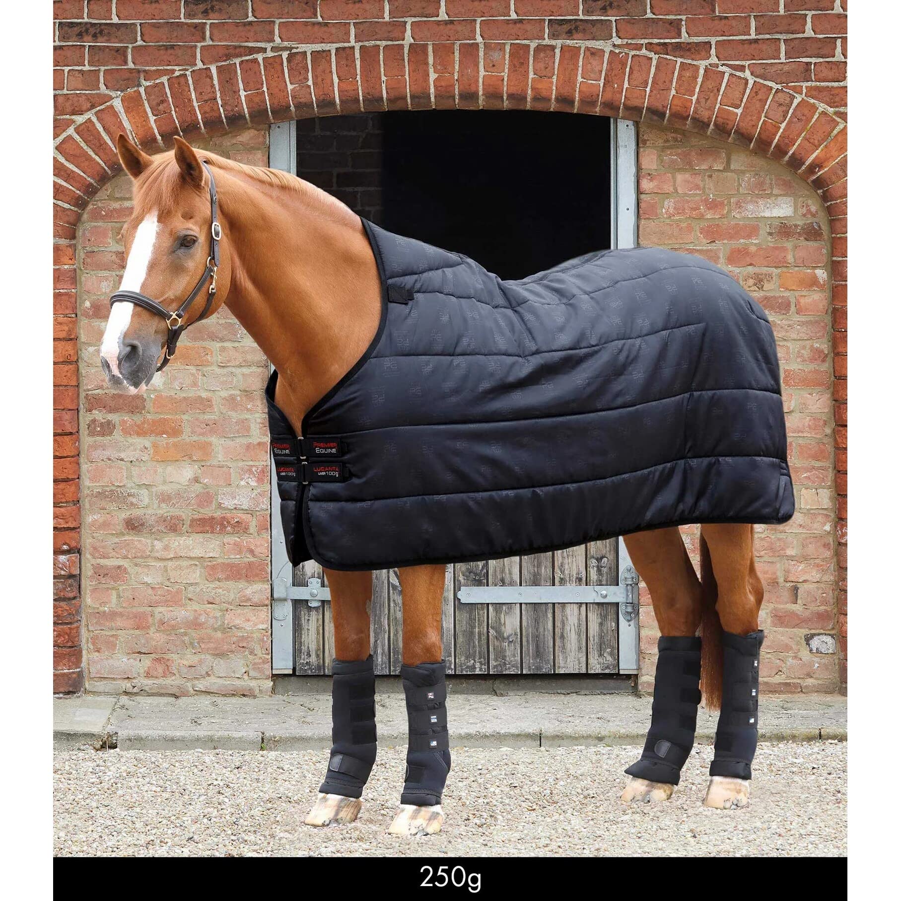 Premier Equine Cubierta para Caballos Lucanta 250 g