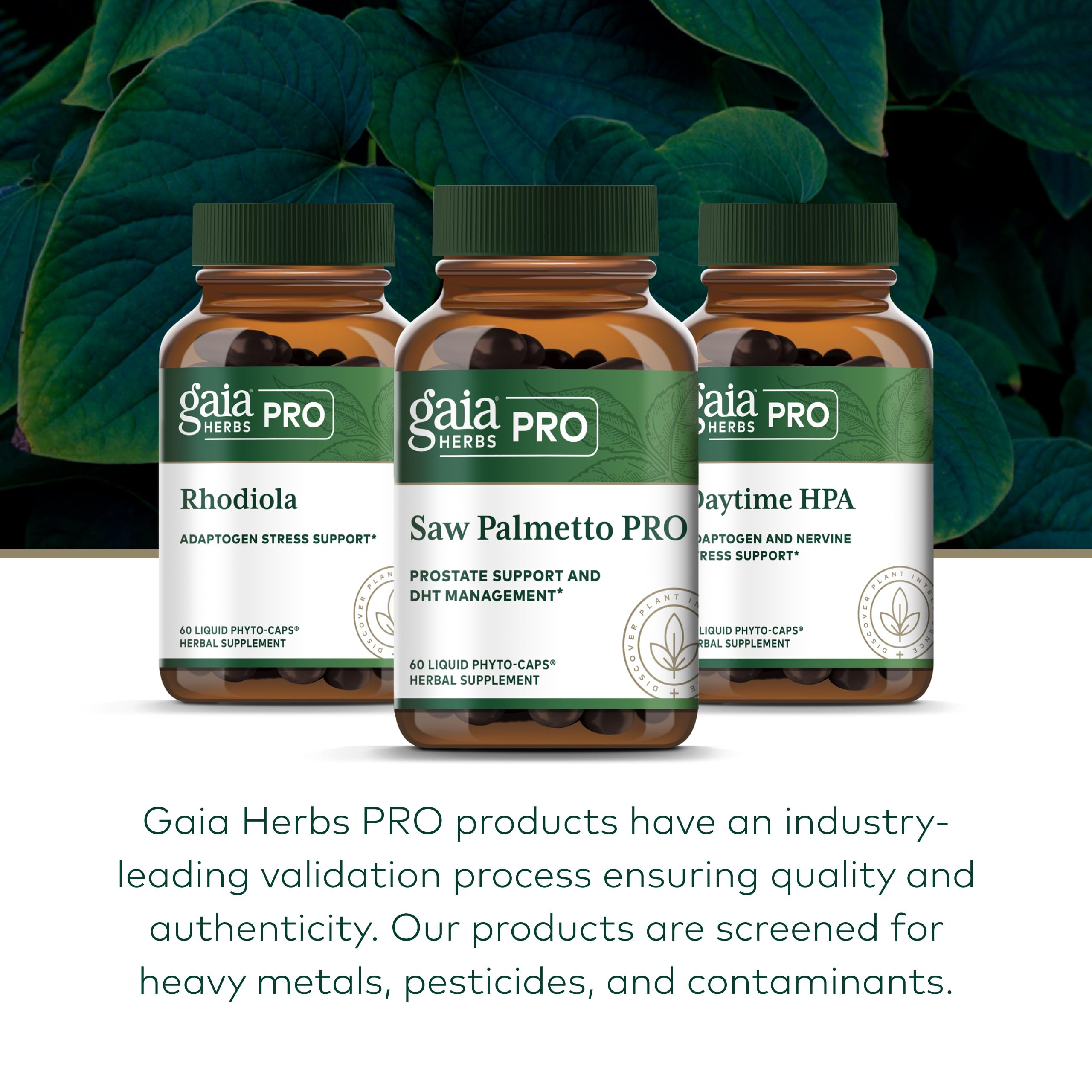 Gaia Herbs PRO Saw Palmetto, 60 Vegan Capsules, 60 Servings — Amazon image 6