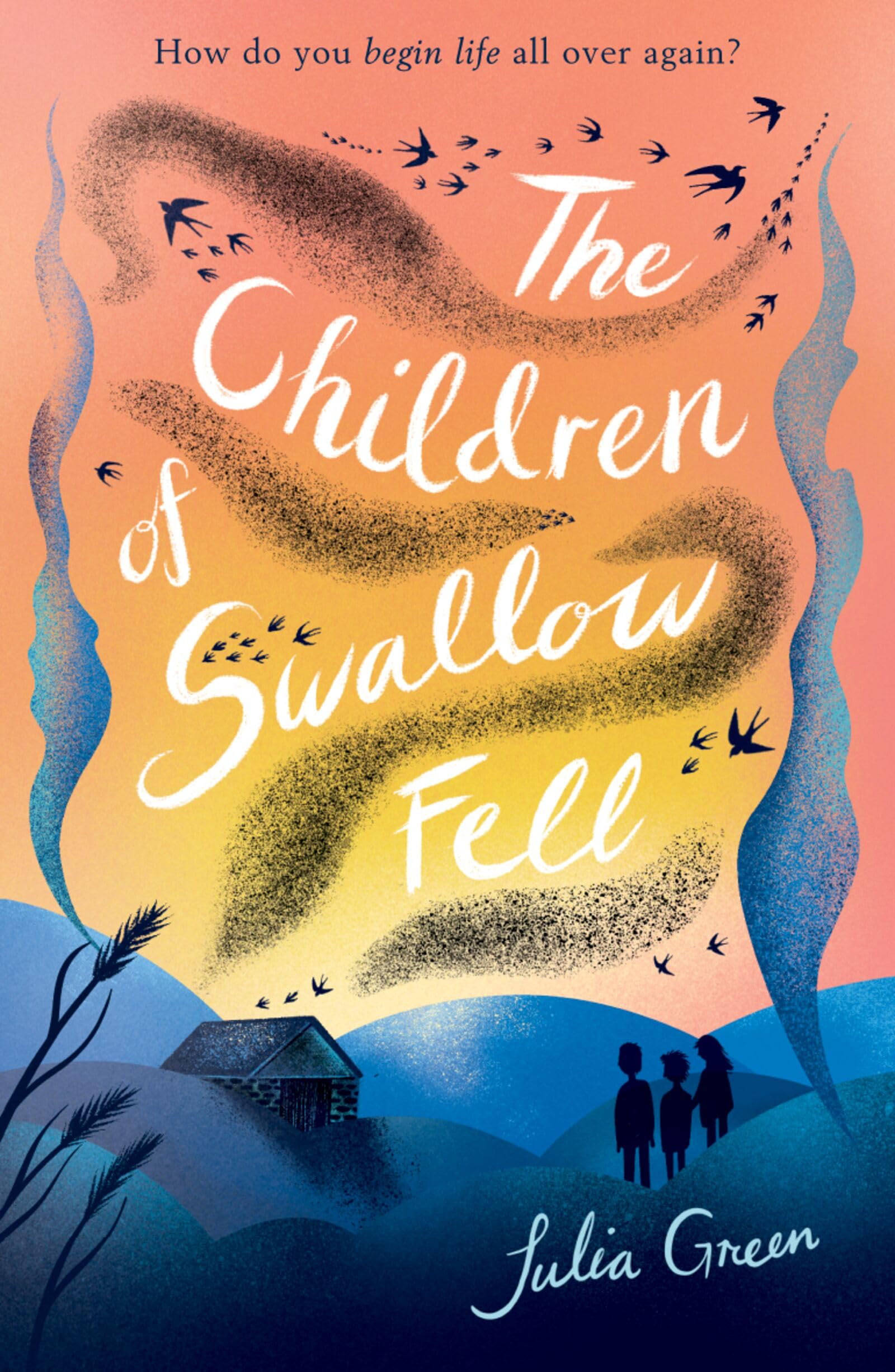 The Children of Swallow Fell by Julia Green (Paperback Book)