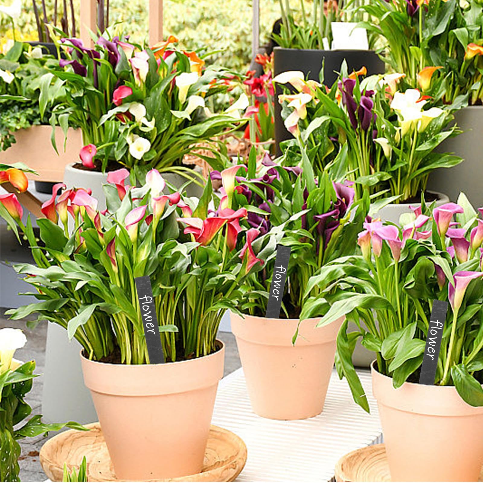 30 Stück 15x2CM kräuterschilder Schiefer, Pflanzenschilder zum Beschriften, Kräuterstecker Pflanzenstecker Blumenstecker, Garten Schiefertafel Schilder Gartenschilder für Draußen Wetterfest