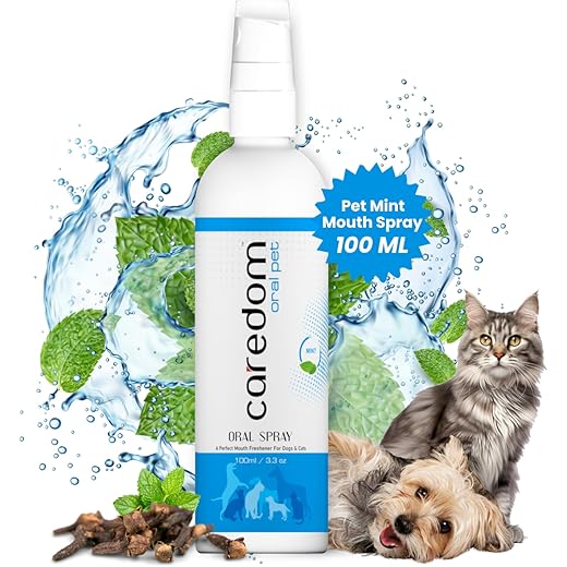 CAREOM Oral Spray Mint 100ml