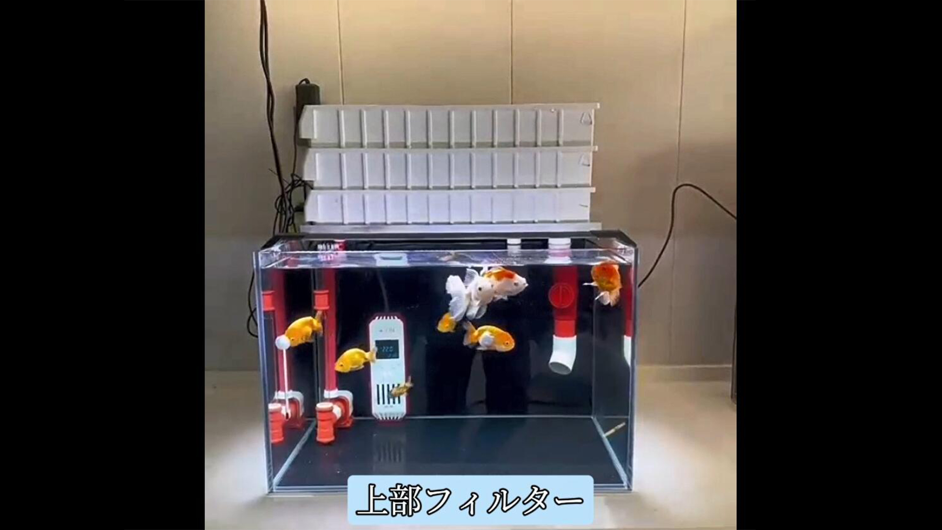 Amazon | 上部フィルター 水槽・カメ水槽用乾湿分離フィルターボックス