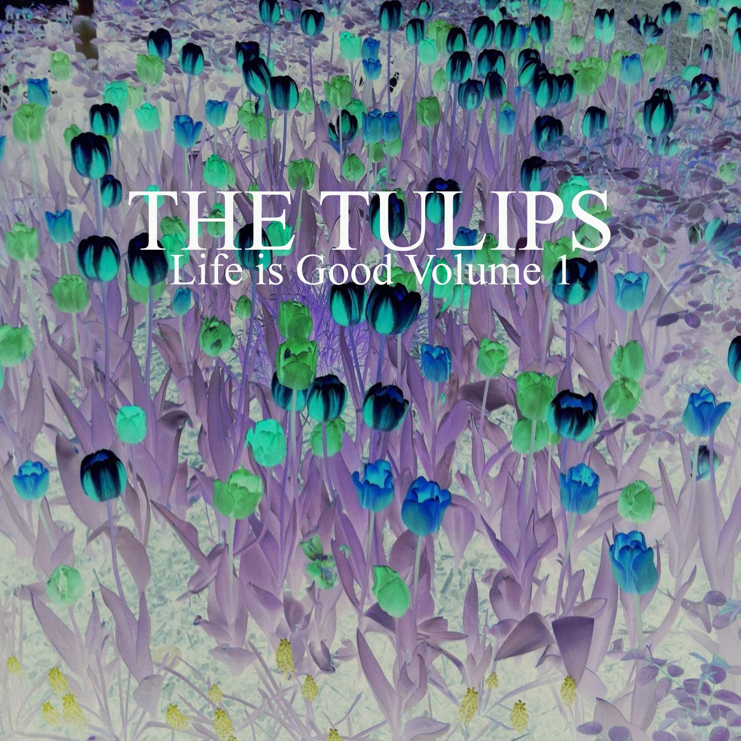 The Tulips