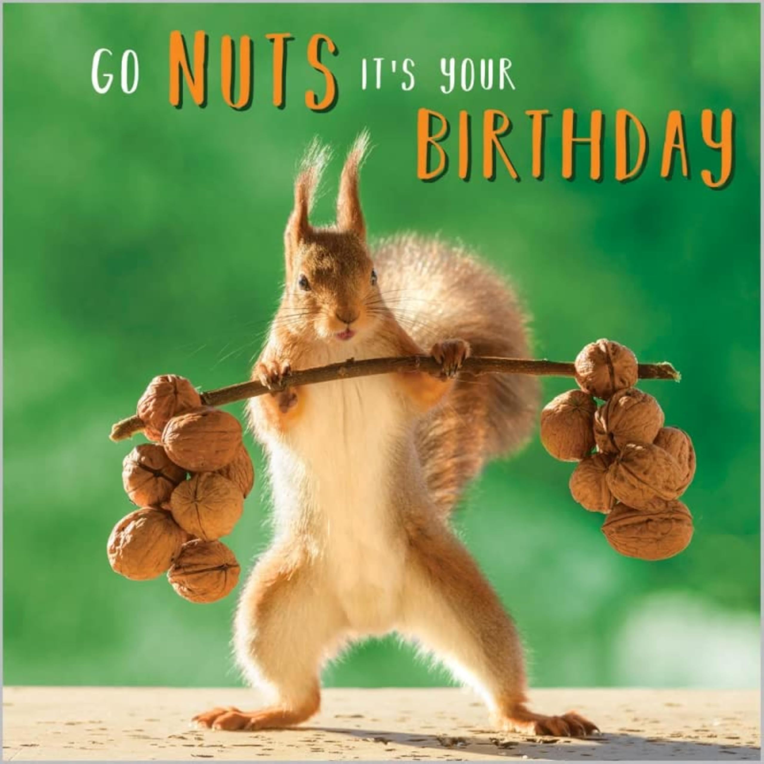 Abacus Cards Funny Open 'Happy Birthday' Greeting Card - Go Nuts - Weightlifting Squirrel - From The Rapture Range