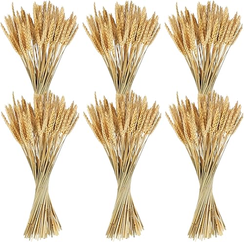 Miniatura 2 de 600 tallos de trigo secos, poleas de trigo natural, paquetes de trigo sintético para coronas de otoño y decoración de bricolaje, trigo artificial