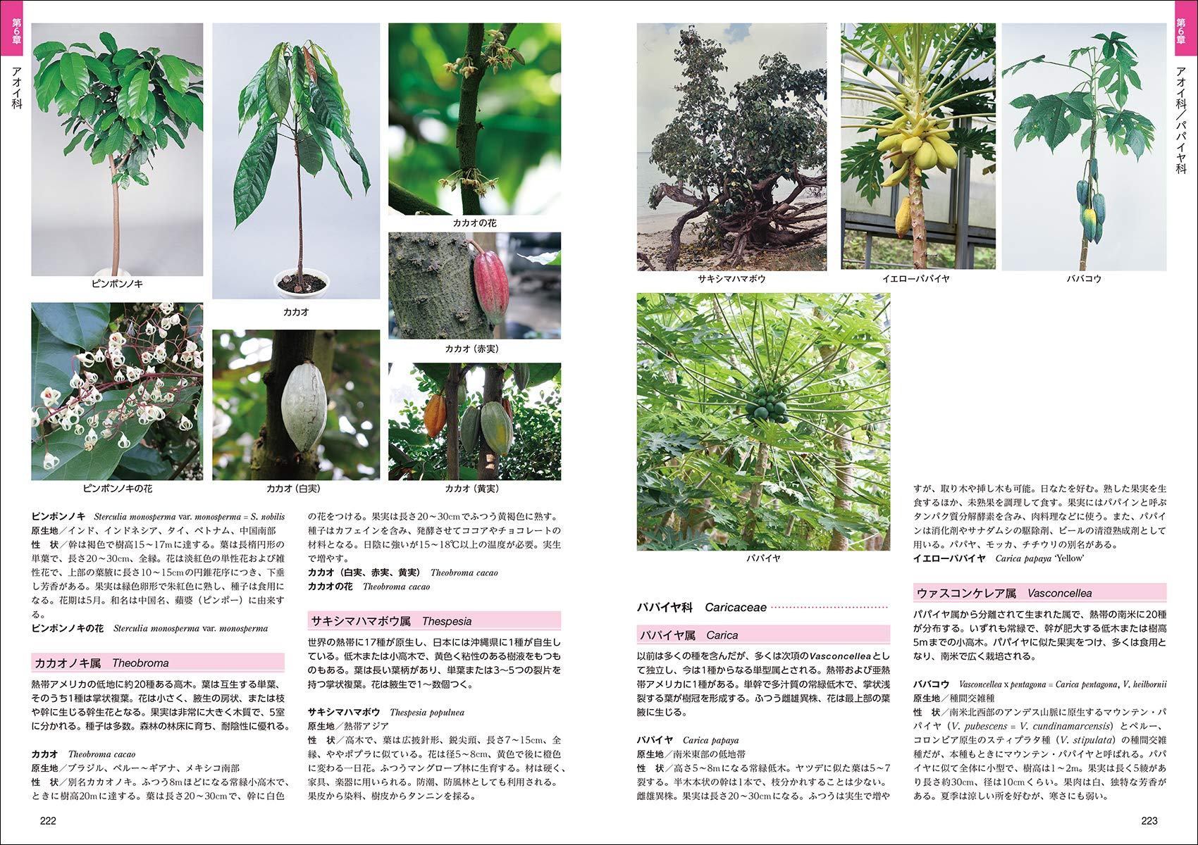 熱帯植物図鑑 Guide To Neotropical Plant Families 日本インドアグリーン協会 配送料無料