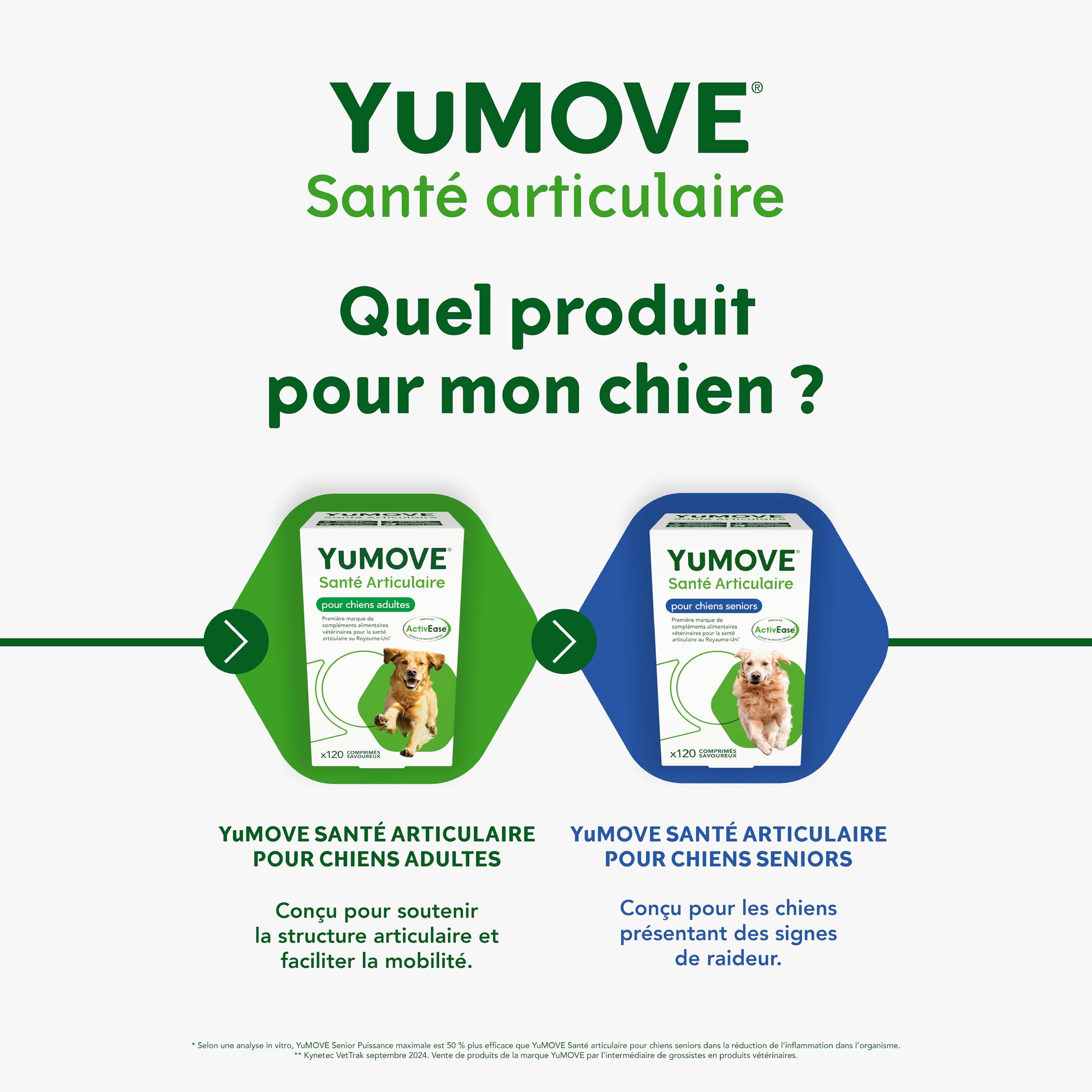 YuMOVE Arthrose Chien Senior 8+ Ans - 120 Comprimés - 170mg par Comprimé Brevet en Instance ActivEase Moule Verte - Glucosamine Chondroïtine et Acide Hyaluronique pour Mobilité Complément Articulation