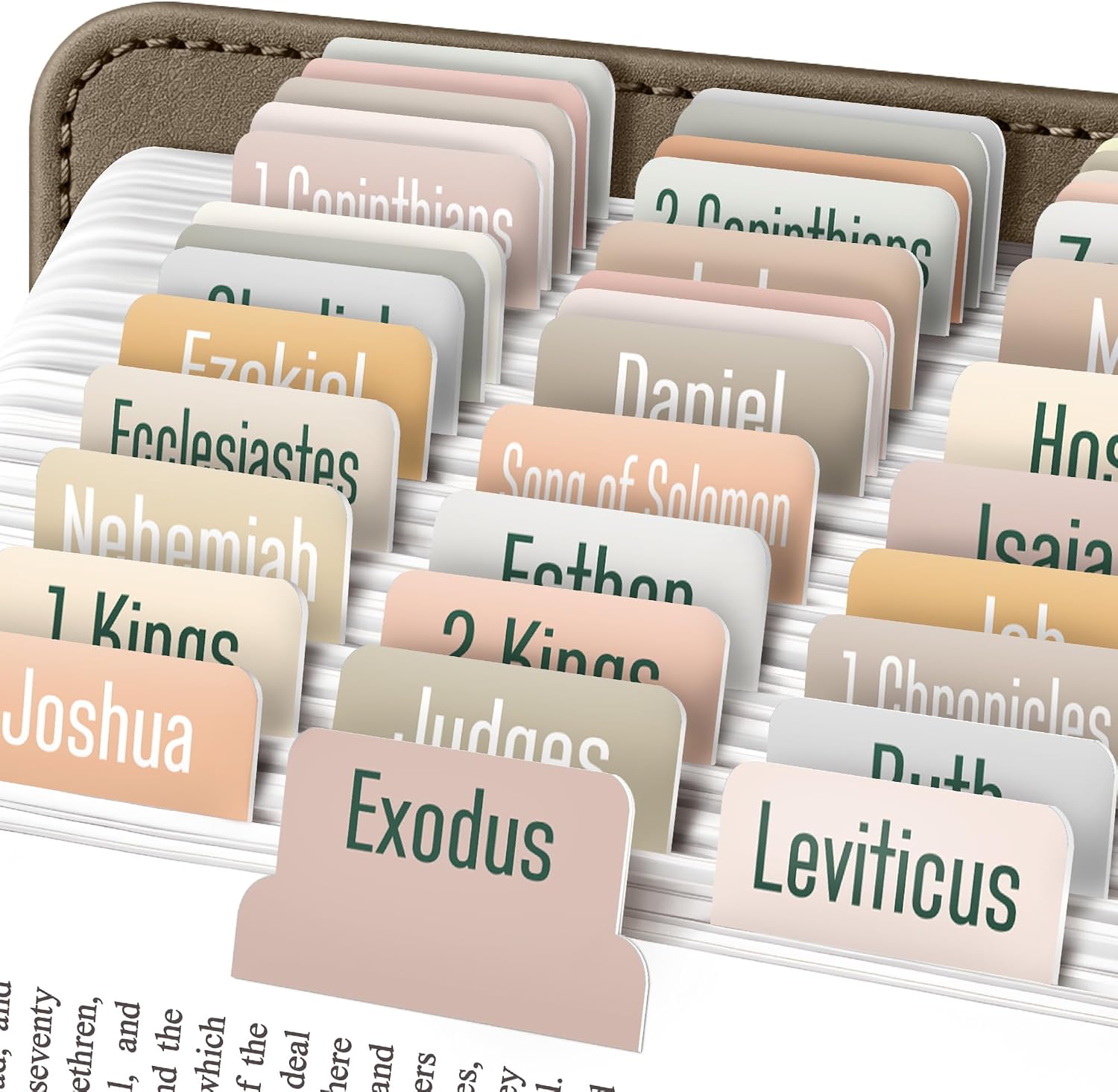 Aesthetic Boho Neutral Laminated Bible Tabs