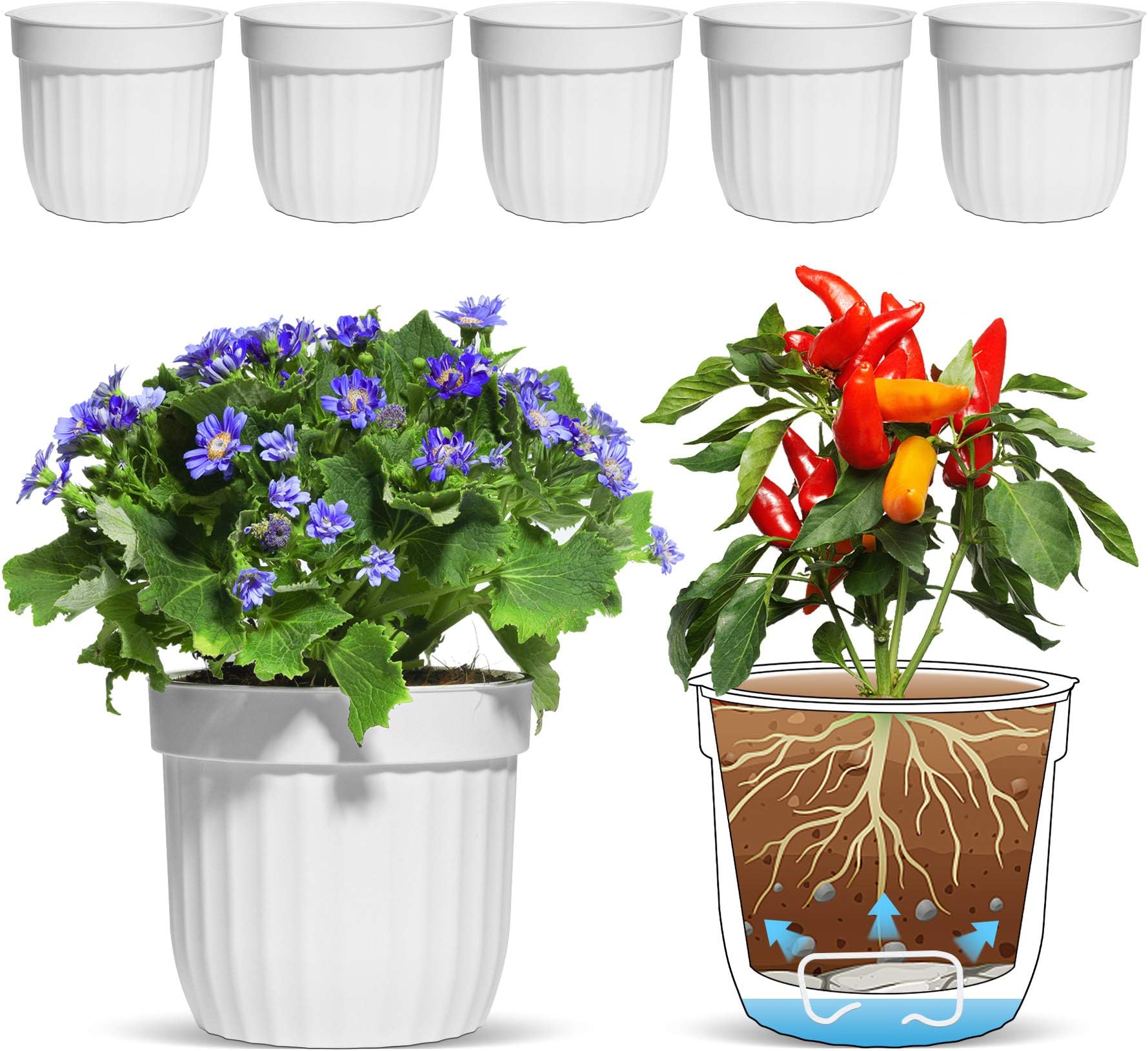 T4U 4 Inch Self Watering Pots for Indoor Plants, 6 Pack White Plastic