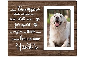 Pet Memorial Picture Frame: Cherished Memories of Your Beloved Feline Companion