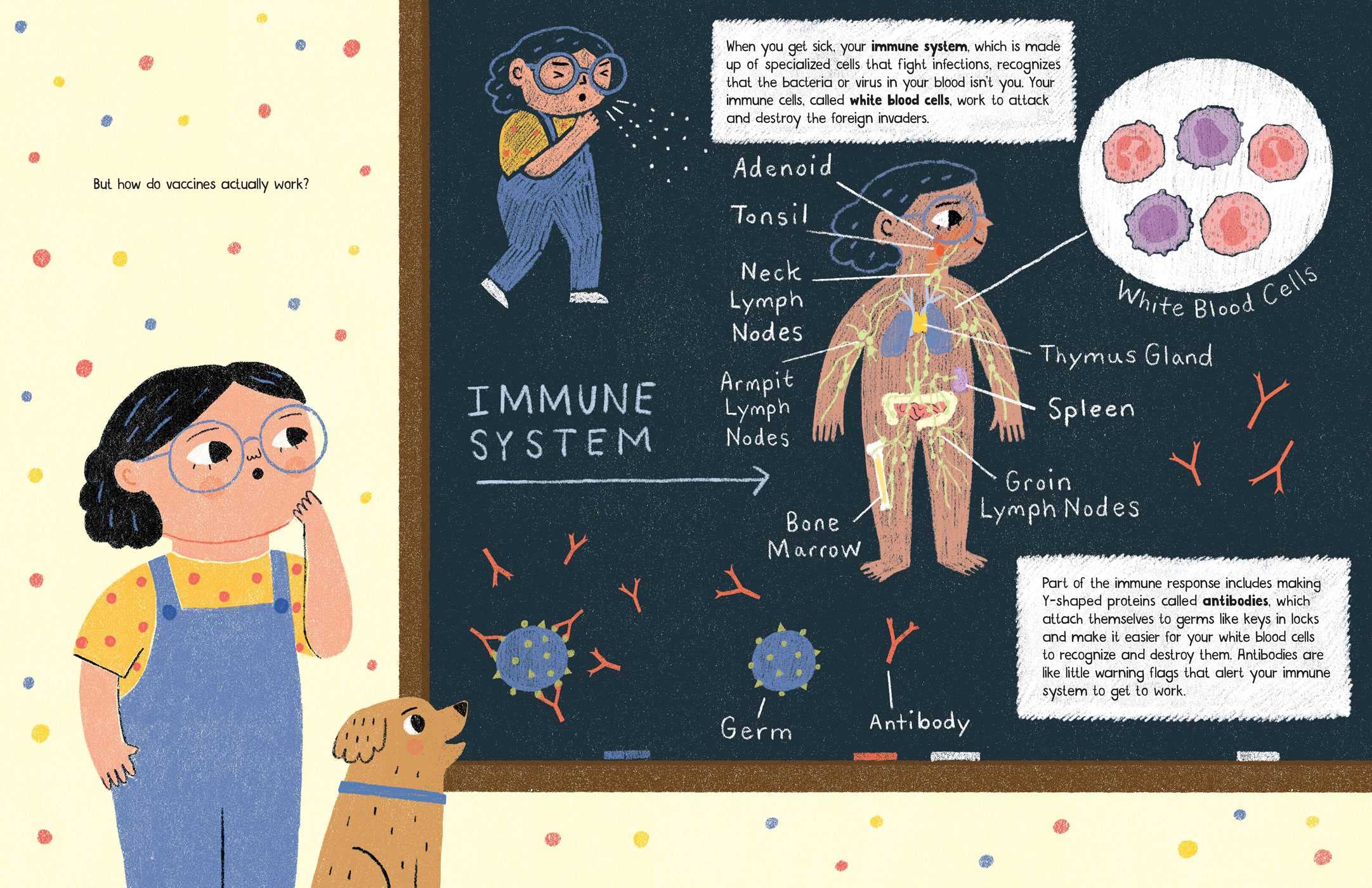 A Vaccine Is Like a Memory