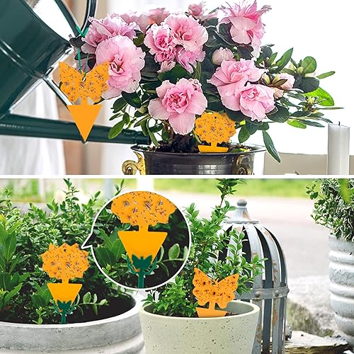 Miniatura 5 de 12trampas adhesivas de interiores para moscas de la fruta y mosquitos, trampas para mosquitos del hongo e insectos, para plantas domésticas