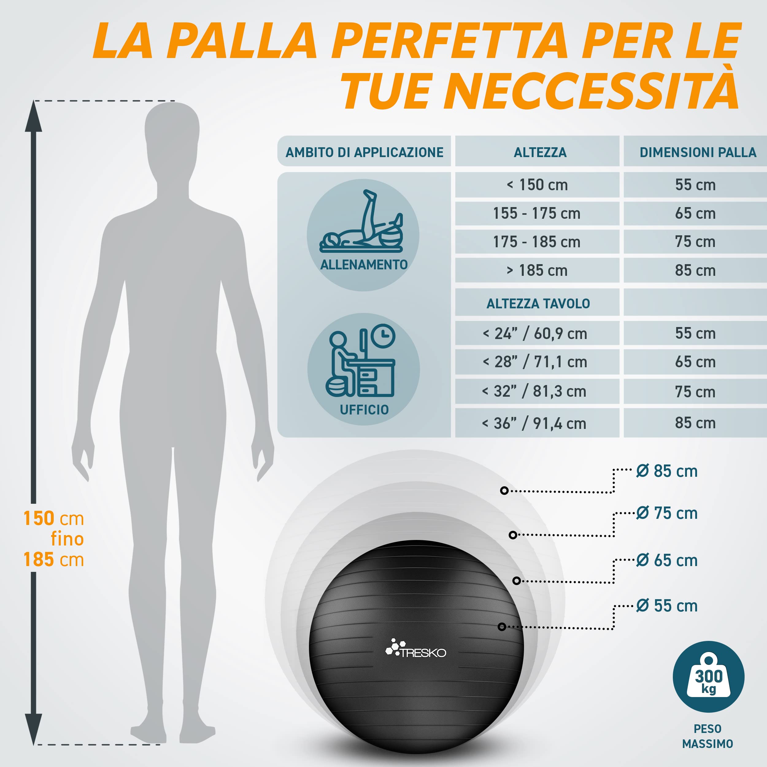 TRESKO Palla Fitness, Palla Pilates Anti-Scoppio 55cm/65cm/75cm/85cm Palla da Ginnastica con Pompa Rapida per Fitness Yoga e Pilates