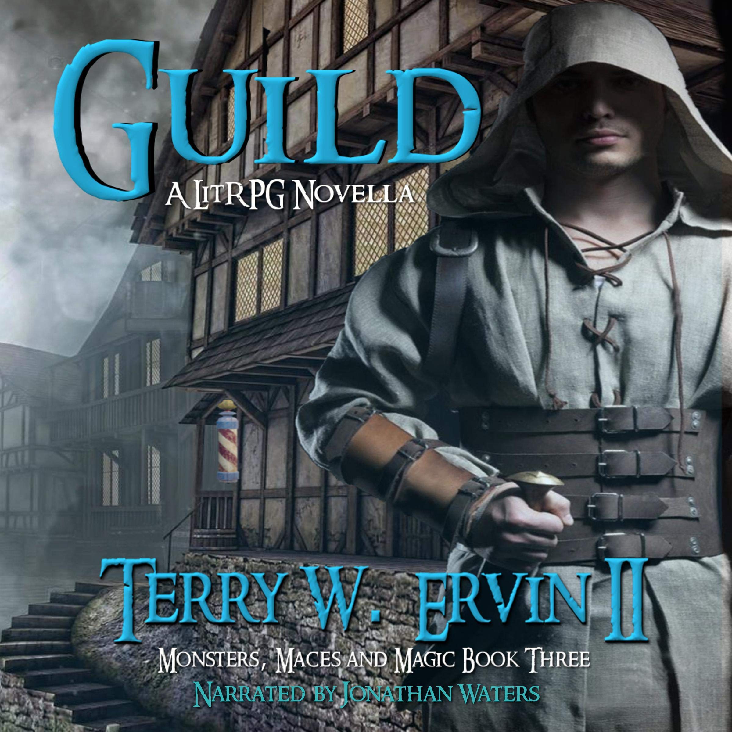 Cover art for Guild: A LitRPG Novella