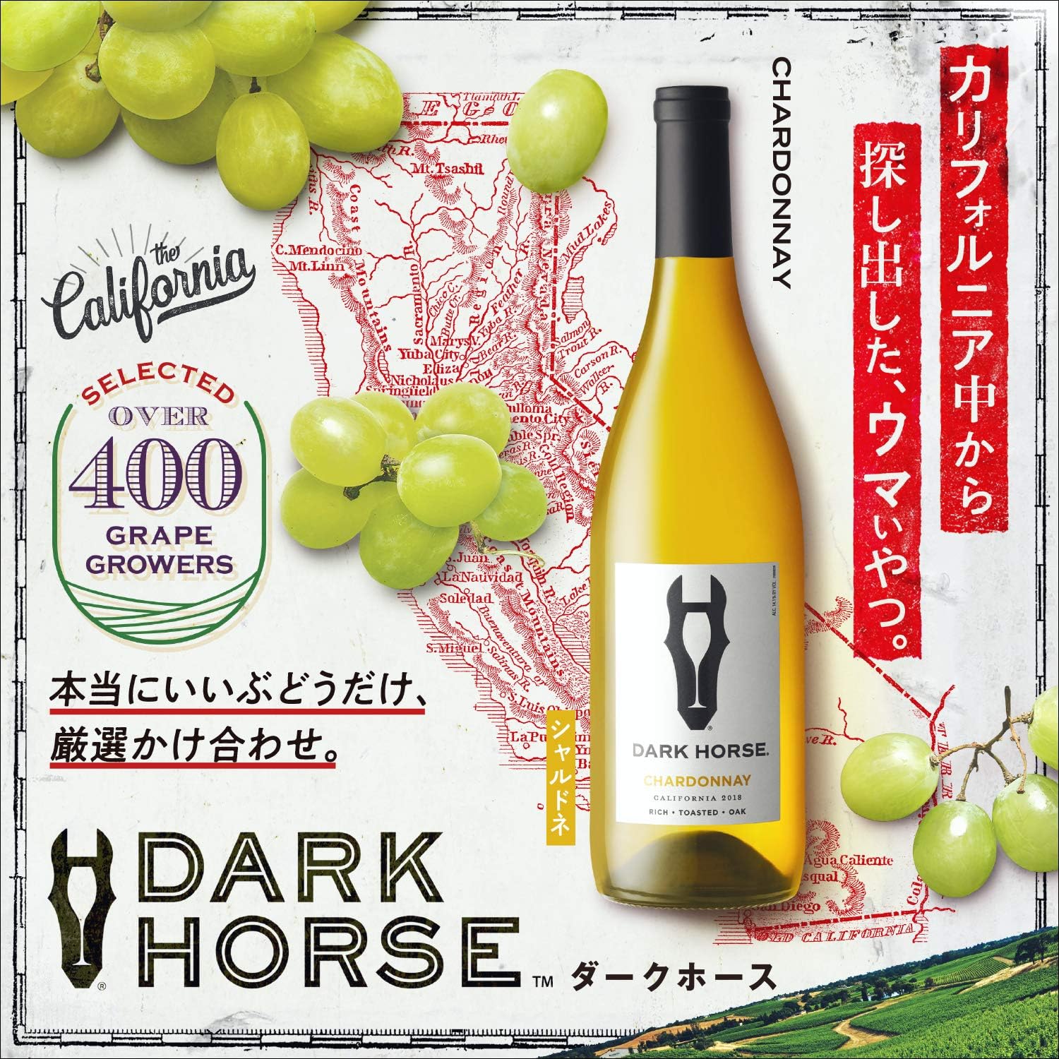 都内で 白ワイン 辛口 アメリカ ダークホース シャルドネ 750ml 驚きの濃い 旨 ワイン 1本 Materialworldblog Com