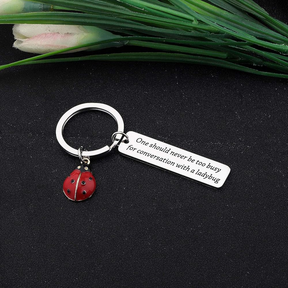 Amazon.co.jp: CYTING てんとう虫ギフト てんとう虫キーホルダー