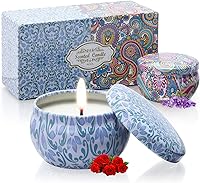 AGOL 2 Pack Natural Soy Scented Candles - 2.5oz Portable Aromatherapy Floral Candles for Travel, Spa, Yoga & Home Decor (24Hr Burn)