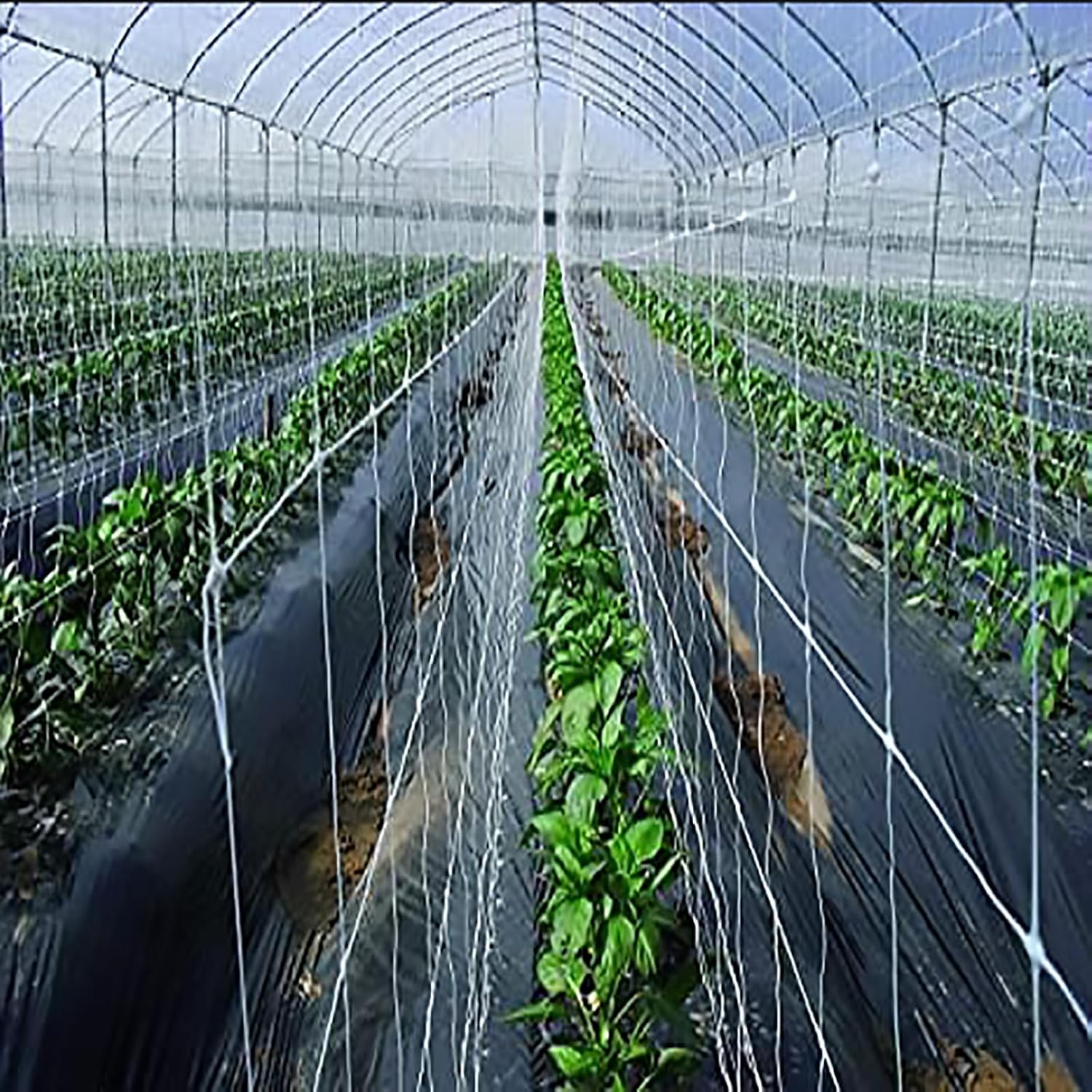 Professional Garden Trellis Netting Bulk Roll - 4ft x 3280ft Heavy-Duty Garden Netting for Climbing Plants,Garden Melons Vegetables, Grape Racks, Hydroponic