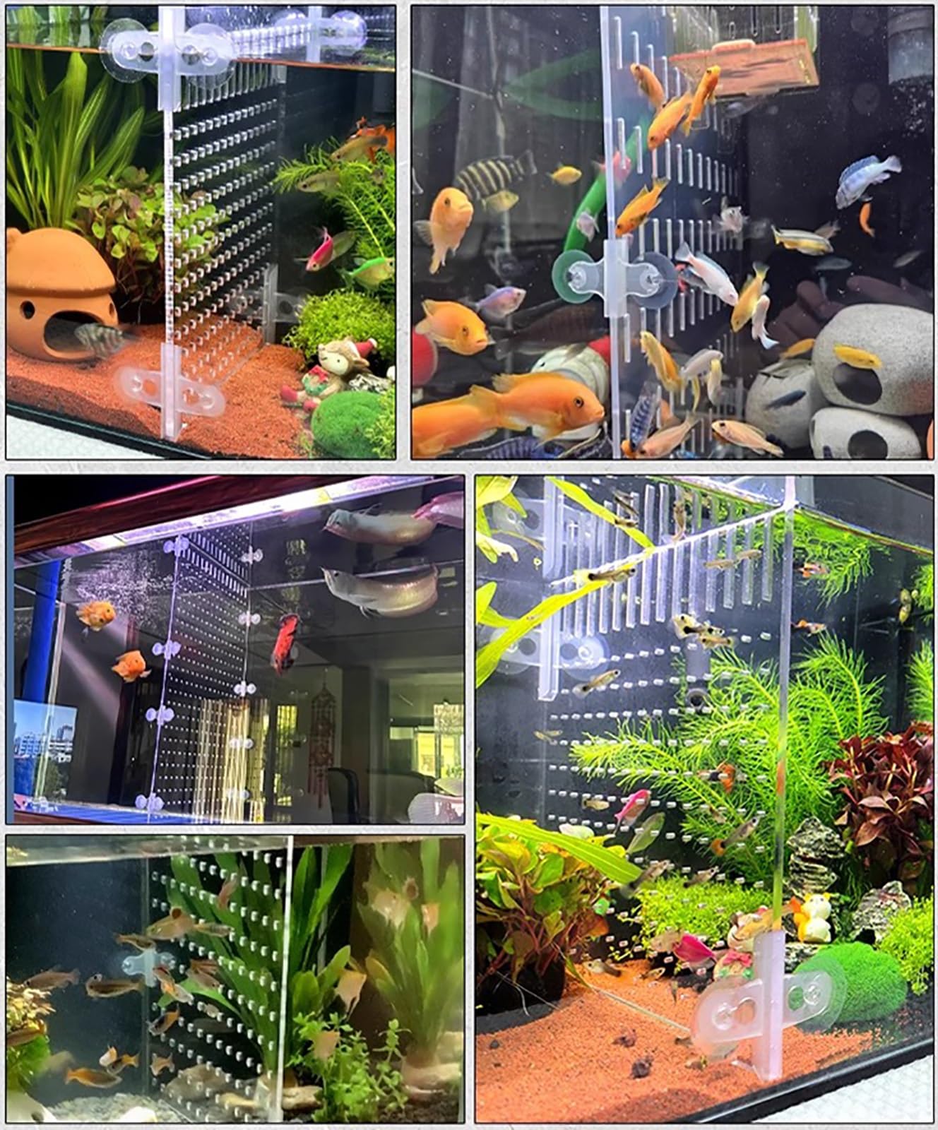 Divisor de acuario para tanque de 10 galones, separador de aislamiento acrílico transparente para la cría de peces y organización del tanque