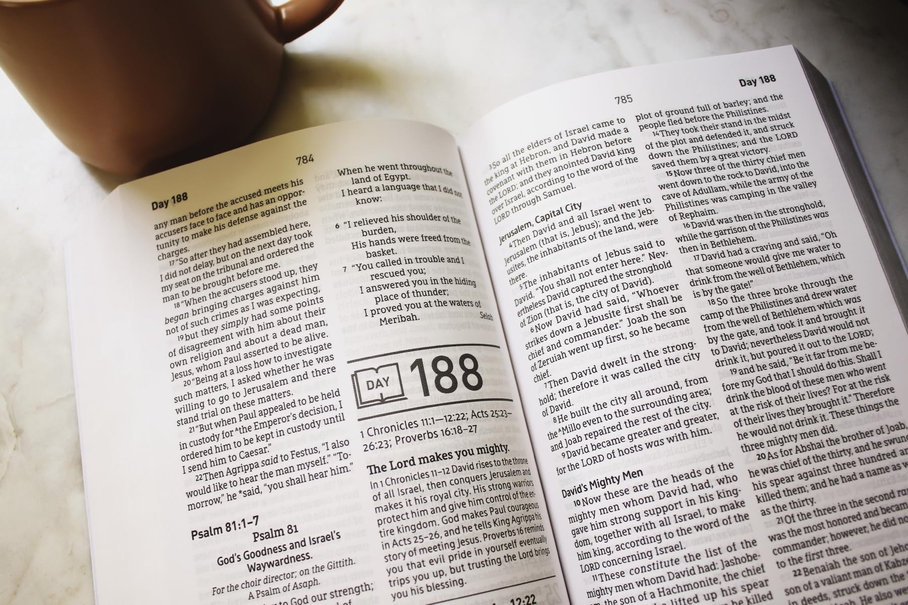 NASB, Daily Scripture, Paperback, White/Olive, 1995 Text, Comfort Print: 365 Days to Read Through the Whole Bible in a Year