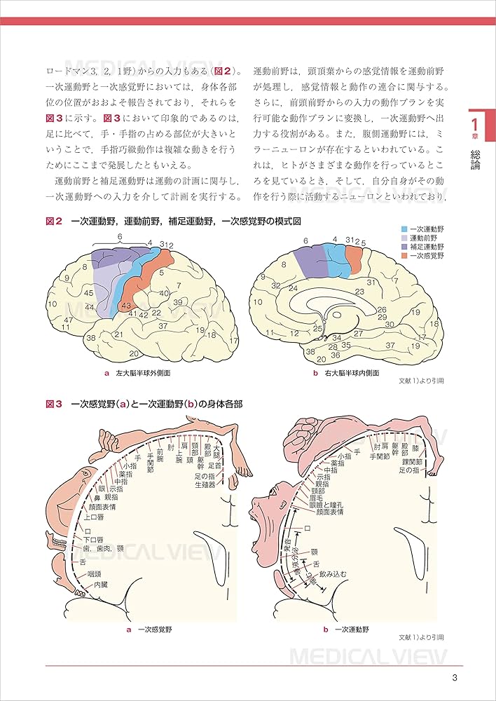 シンプル理学療法学シリーズ 神経筋障害理学療法学テキスト、義肢装具学テキスト 神経筋障害理学療法学テキスト(中枢神経障害理学療法学テキスト