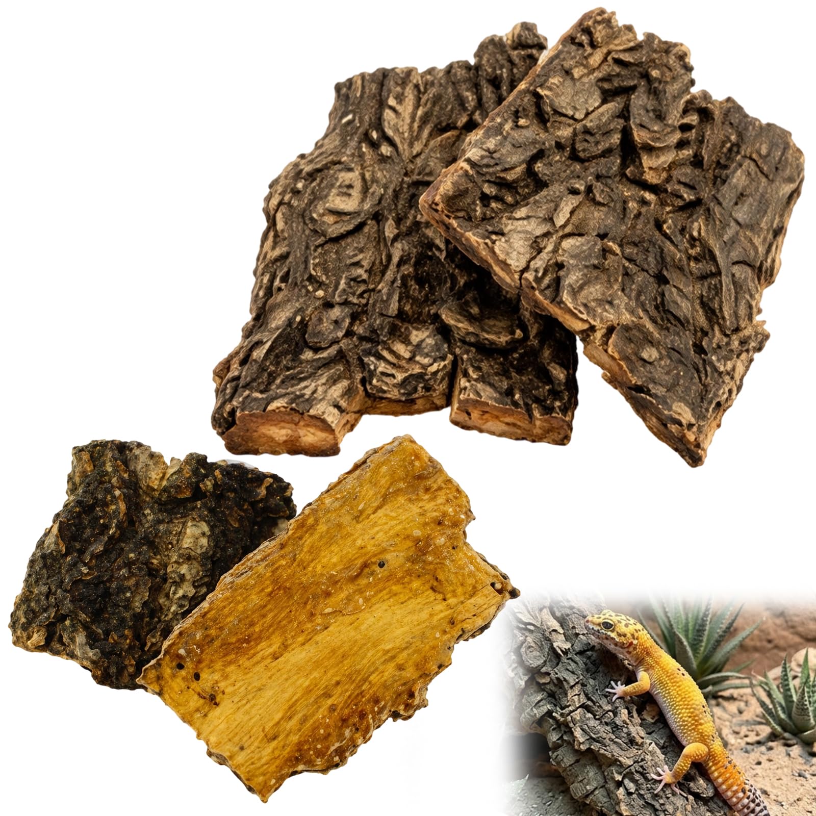 Cork Bark, Gecko Tank Accessories and Tortoise Hide, Natural Reptile Hides for Terrariums, Reptile Bark for Climbing and Hiding, Bearded Dragon Accessories and Reptile Accessories, 25 by 17 by 2.4 Cm