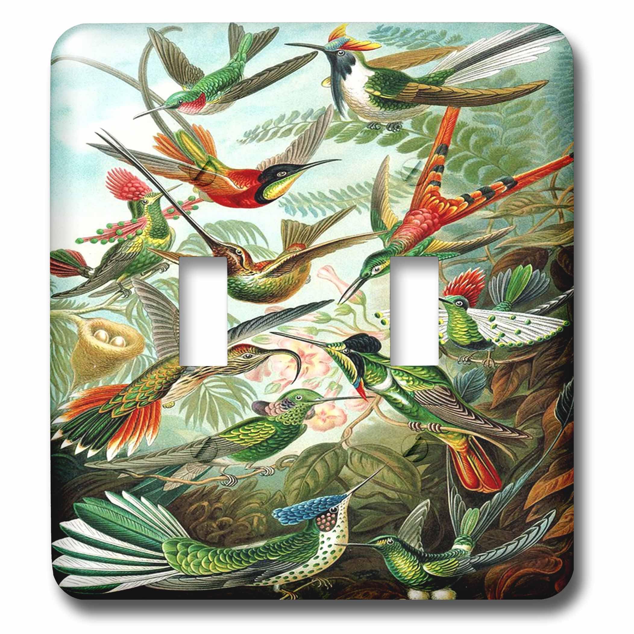 Interruptor doble 3dRose lsp_62149_2 colibríes sustituye tapas viejas por arte 1904