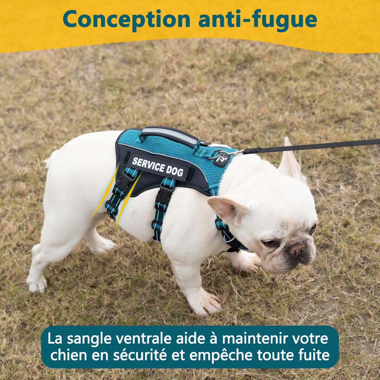Huntboo Harnais Chien d’Assistance avec 6 Écussons, Harnais Anti Traction pour Chien avec Poignée, Harnais Anti Fugue Chien, Réfléchissant et Réglable, pour Dressage et Promenade (Bleu Sarcelle,L)