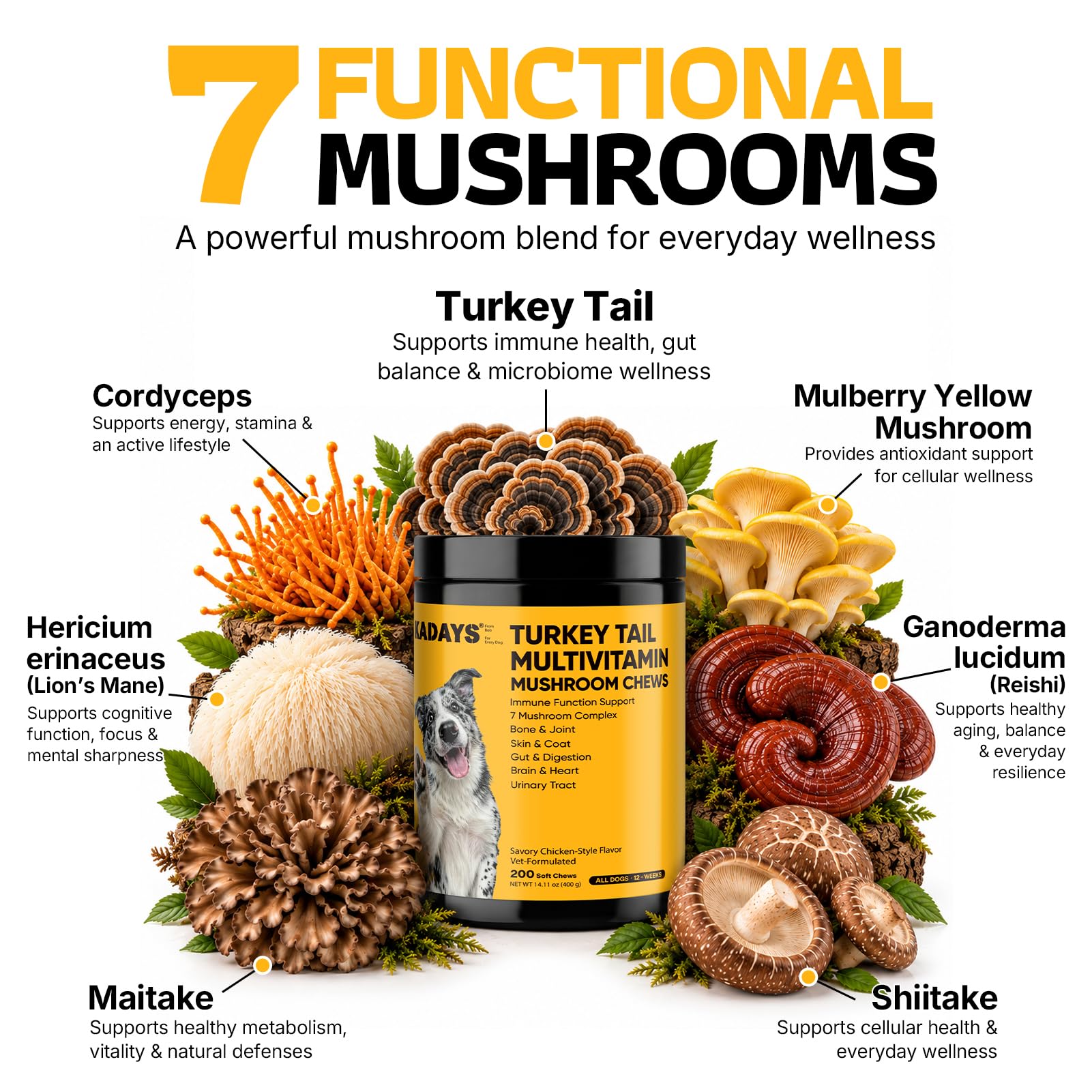 Turkey Tail Mushroom for Dogs 200 Count - Dog Multivitamin & Mushroom Chews — Amazon image 3