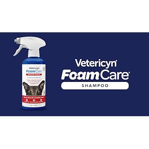 FoamCare Medicated Pet Shampoo by Vetericyn | Sensitive Skin Shampoo for Dogs, Cats, and All Animals - Anti-Itch, Promotes Healthy Skin and Coat - Hypoallergenic – Instant Foam Shampoo – 16-ounce FoamCare Medicated Pet Shampoo by Vetericyn | Sensitive Skin Shampoo for Dogs, Cats, and All Animals – Anti-Itch, Promotes Healthy Skin and Coat – Hypoallergenic – Instant Foam Shampoo – 16-ounce