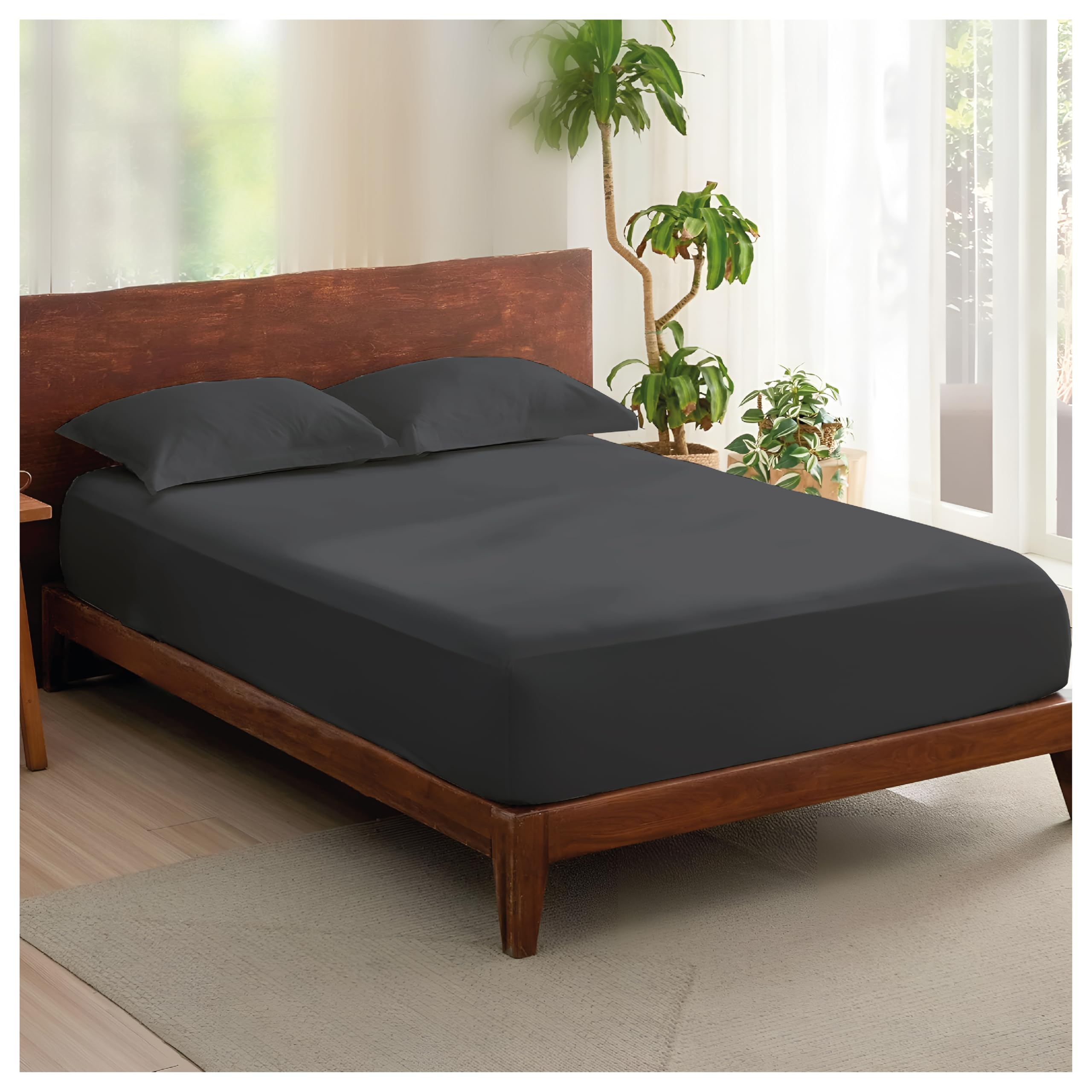 Rehan & Co 100% Egyptian Cotton Fitted Sheets 300 Thread Count Breathable Hotel Qulaity Bedding 12” / 30cm Deep Fitted Bed Sheet. (Charcoal Fitted Sheet