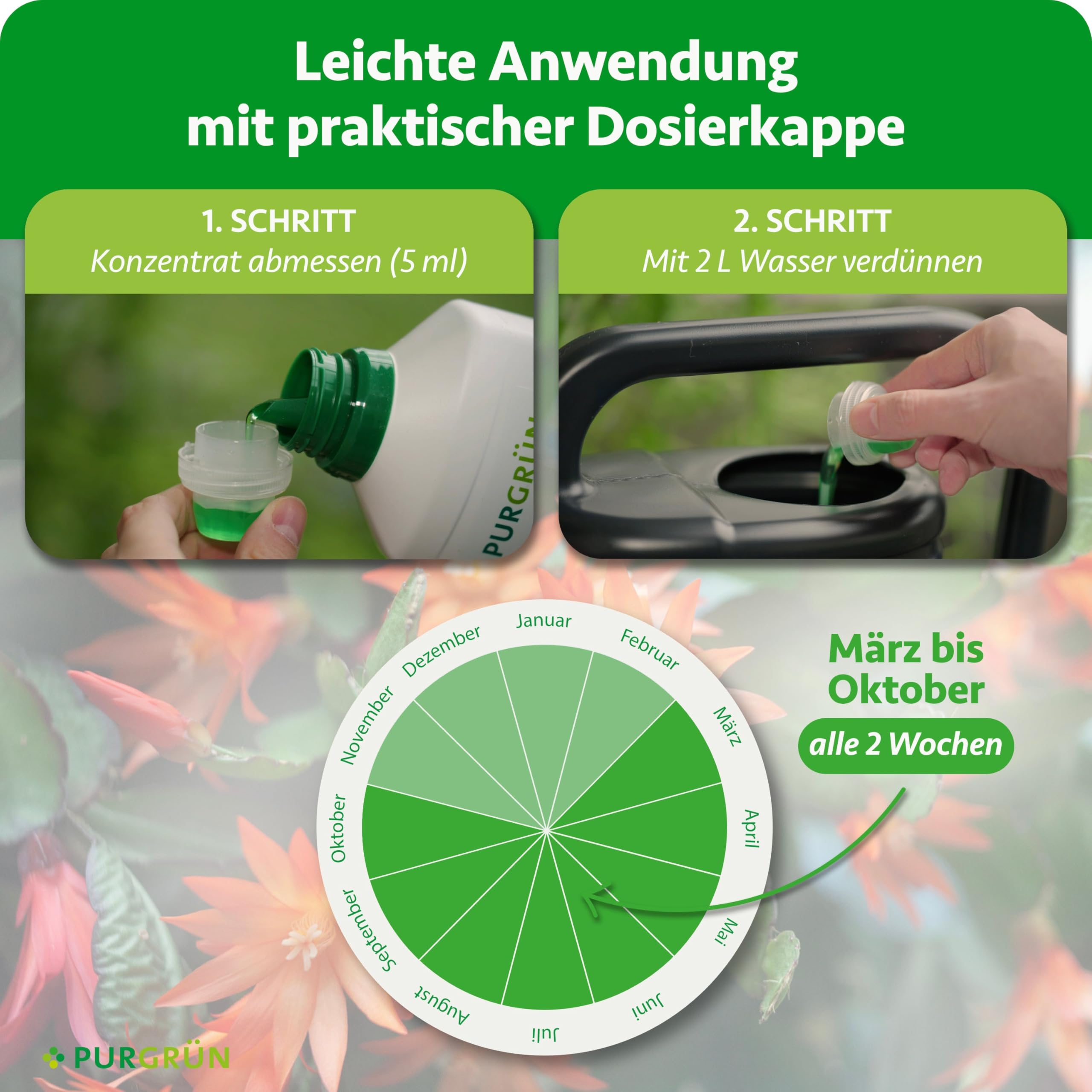 Weihnachtskaktus-Dünger 1 Liter – Spurennährstoffe für prächtige Blüten – Extra Kalium stärkt die Widerstandskraft – Ergiebiges Konzentrat für 400 Liter Gießwasser – Premium-Flüssigdünger