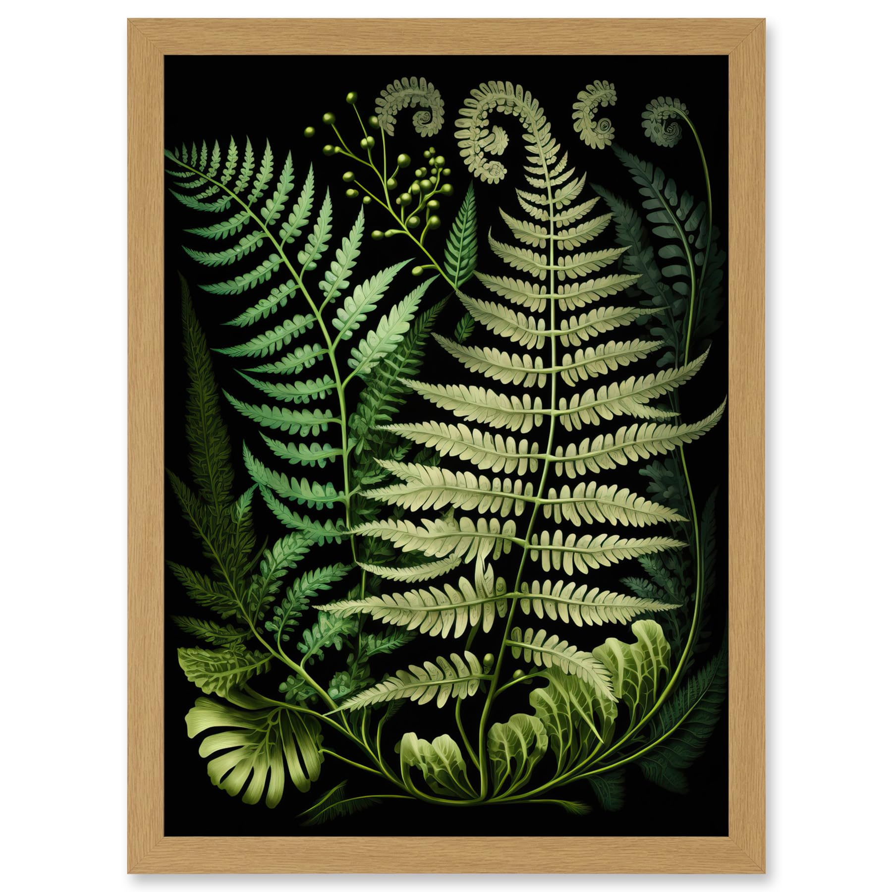 Artery8 Ernst Haeckel Style Fern Fronds Illustration Artwork Framed A3 Wall Art Print