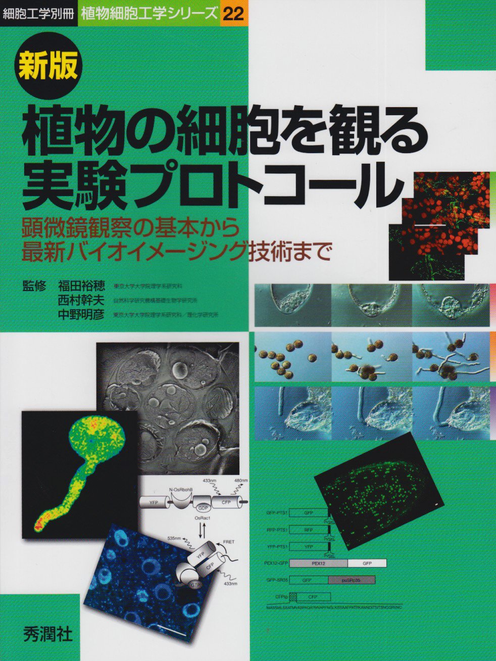 植物の細胞を観る実験プロトコール 顕微鏡観察の基本から最新バイオイメージング技術まで 細胞工学別冊 植物細胞工学シリーズ 22 福田裕穂 西村幹夫 中野明彦 本 通販 Amazon