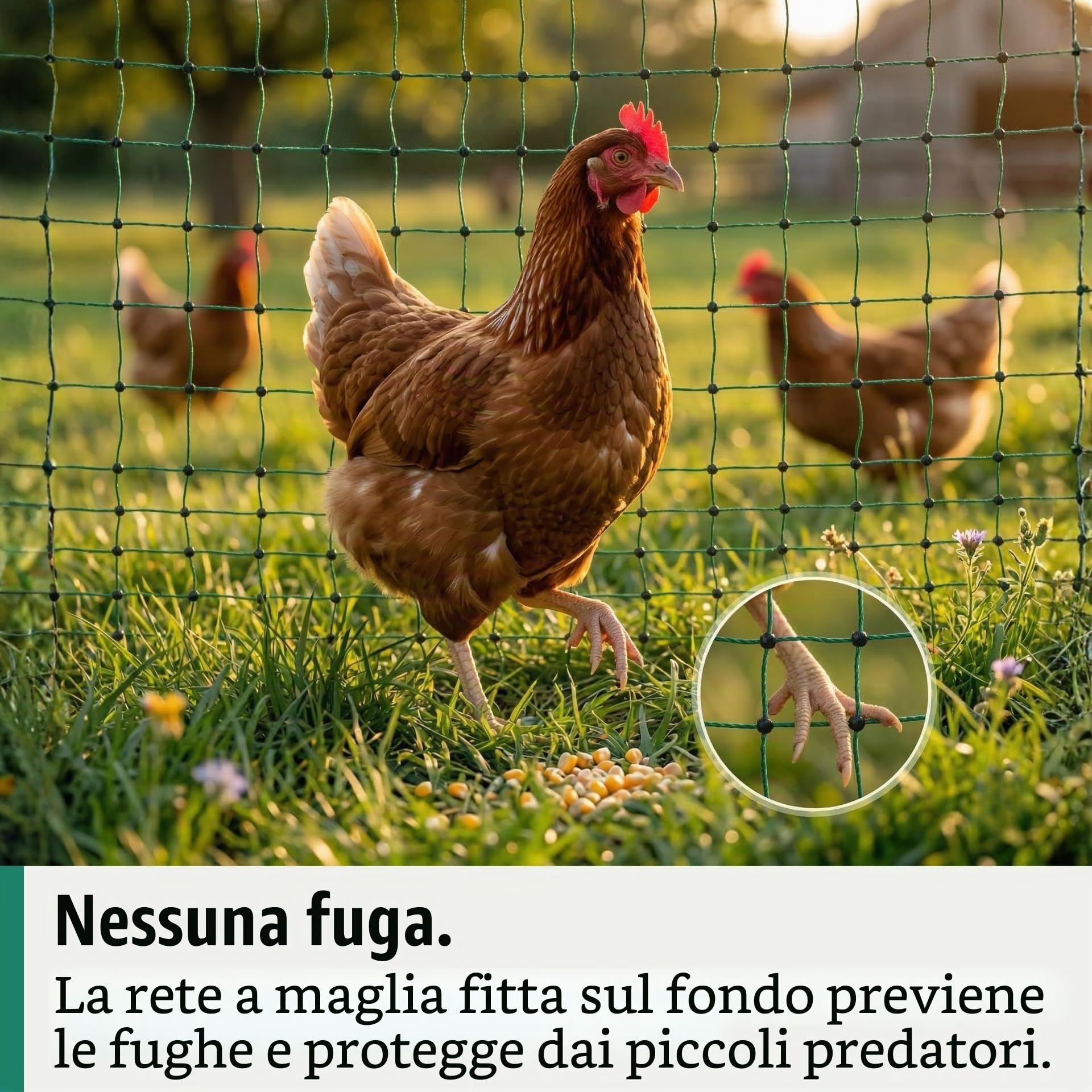 Agrarzone Rete per pollame Classic elettrificabile, Doppia Punta, Verde 50 m x 112 cm - Robusta per polli, Cani e Gatti - Facile da installare con 15 Pali e Kit di Riparazione